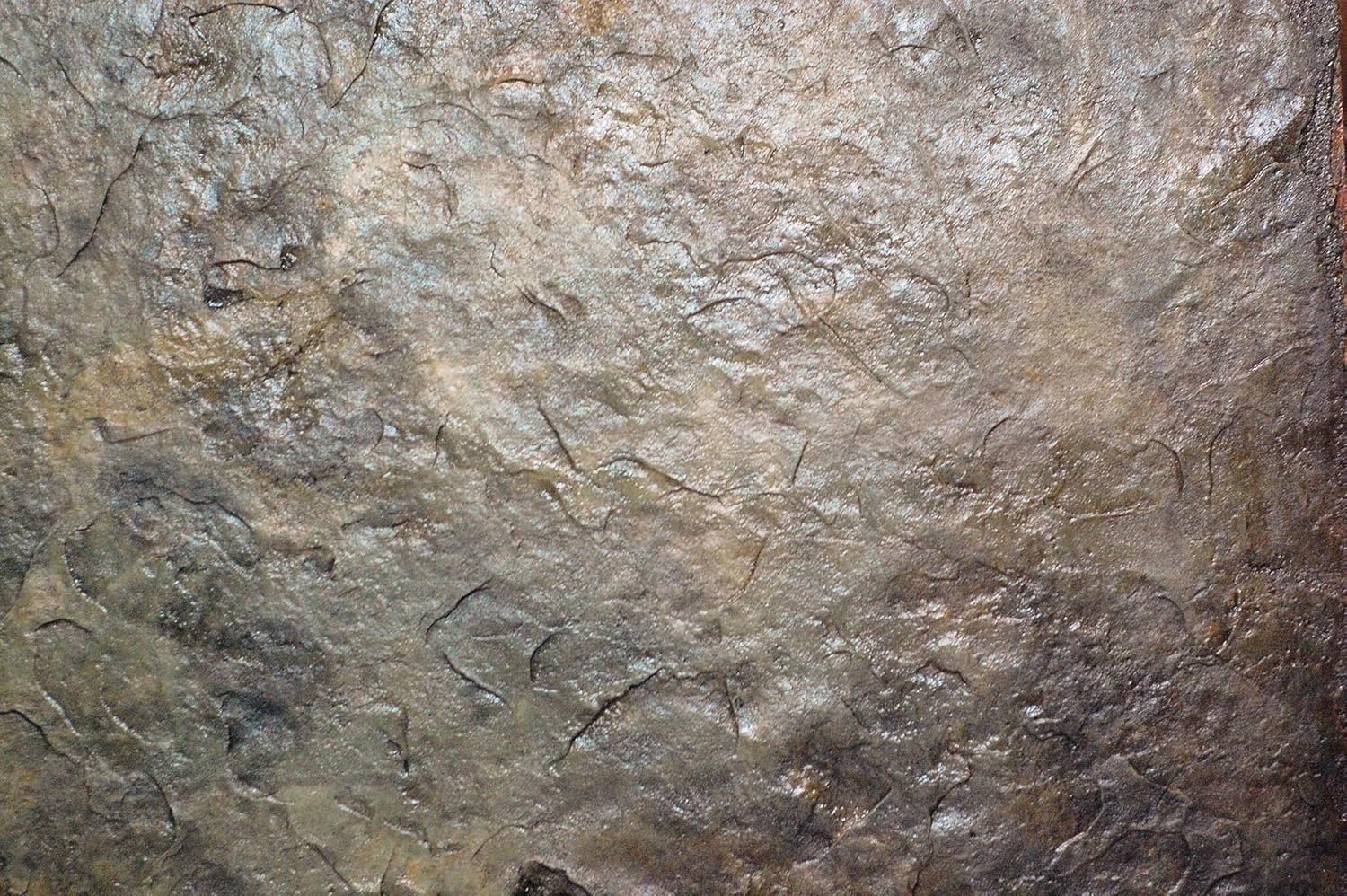 3 x 3 ft Seamless Concrete Stamp Texturing Skin Single - Concrete, Cement, Overlay (Colorado Sandstone)
