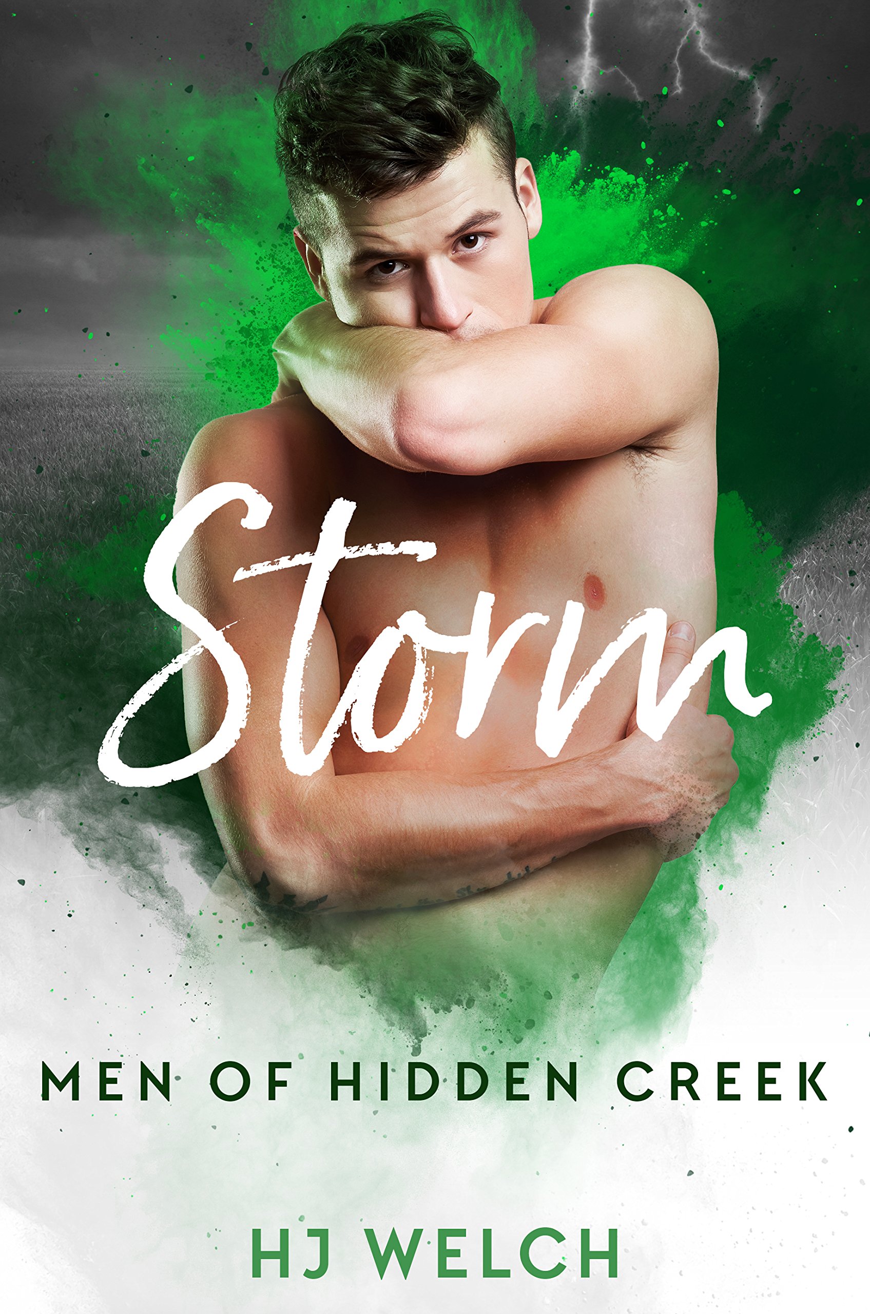 Storm: 3 (Men of Hidden Creek Season One)