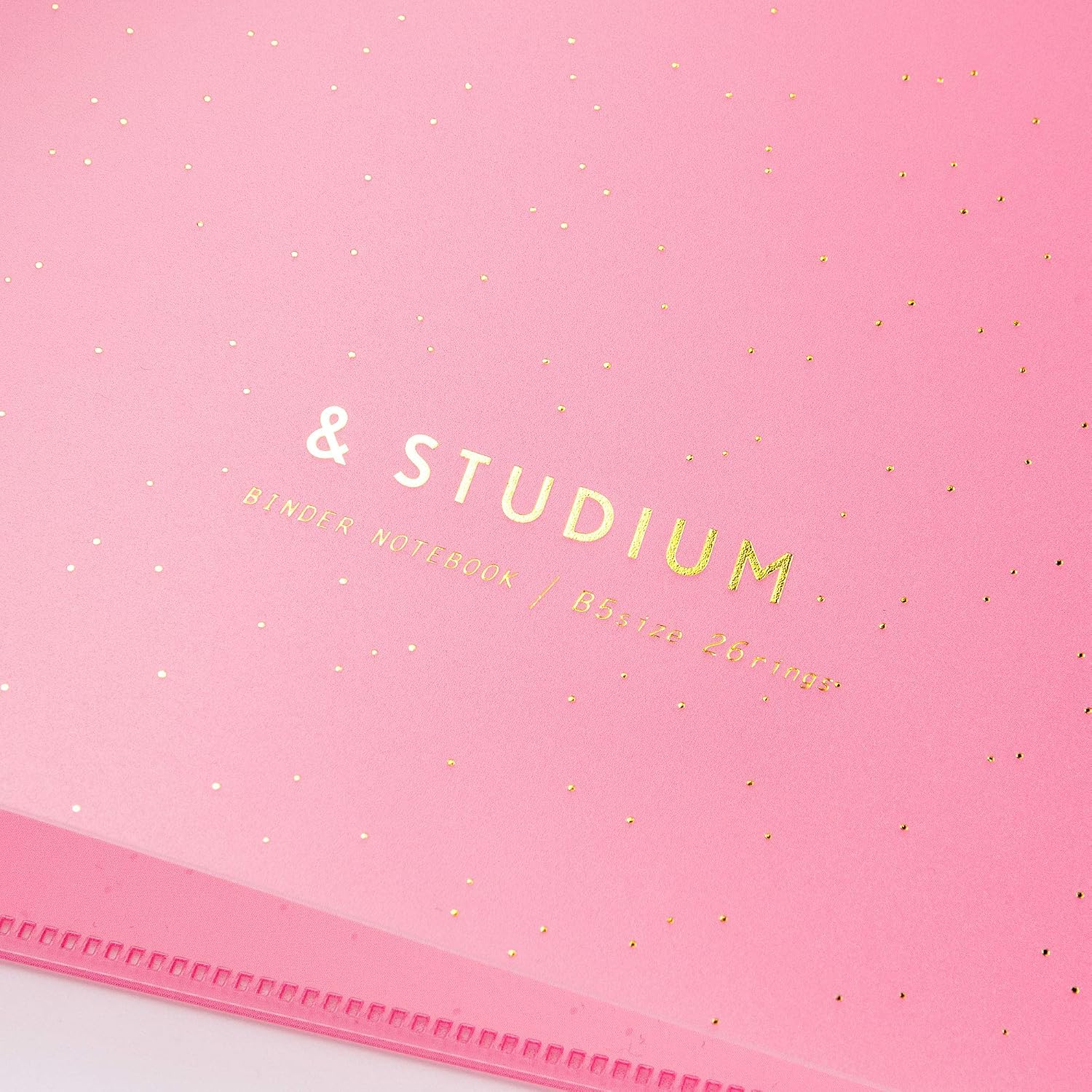 Iroha Publishing Binder for self Study GAB-01 Pink