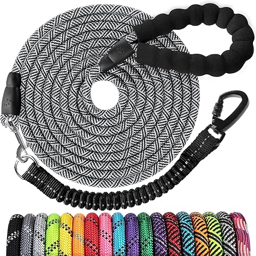 Long Dog Leash 30 FT: Heavy Duty Rope Leashes for Dogs Training with Swivel Lockable Hook Reflective Threads Bungee and Padded Handle - Dog Lead for Large Small Medium Dogs Outside Walking Hiking Grey