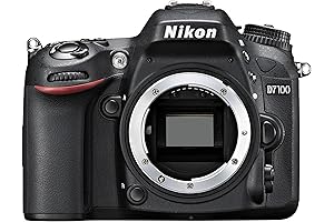 Nikon D7100 24.1 MP DX-Format CMOS Digital SLR Camera - Body Only
