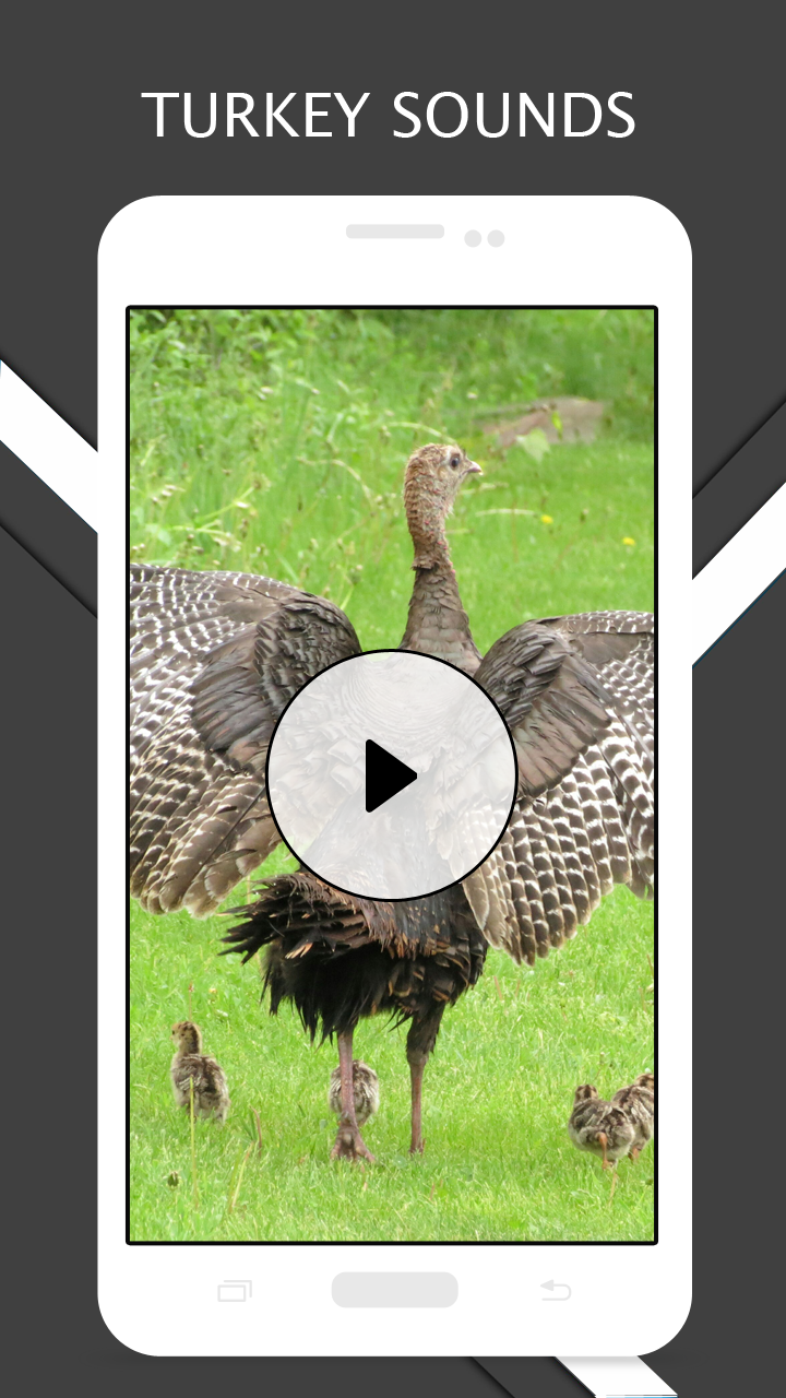 Turkey Sounds And for Android