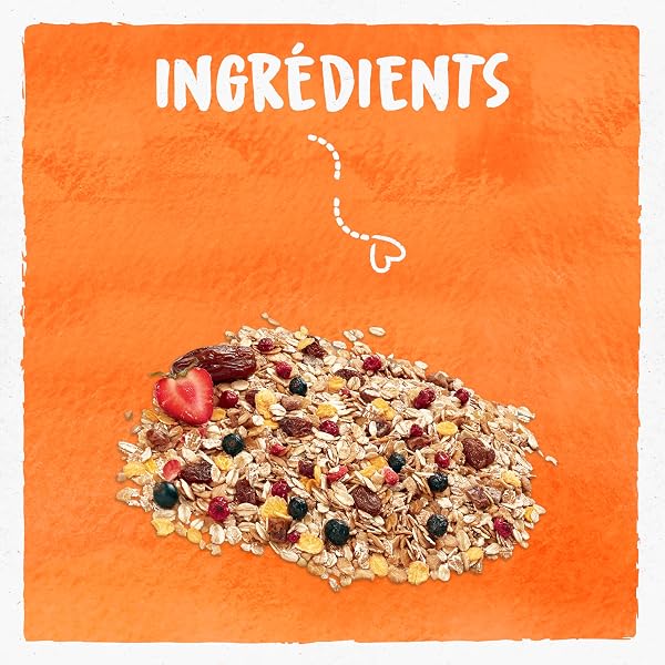 BJORG - Muesli Protéines - Soja, Dattes, Fruits Rouges - Riche en Protéines - Source de Fibres - Céréales Complètes Avoine et Blé - Bio - 375g - 3