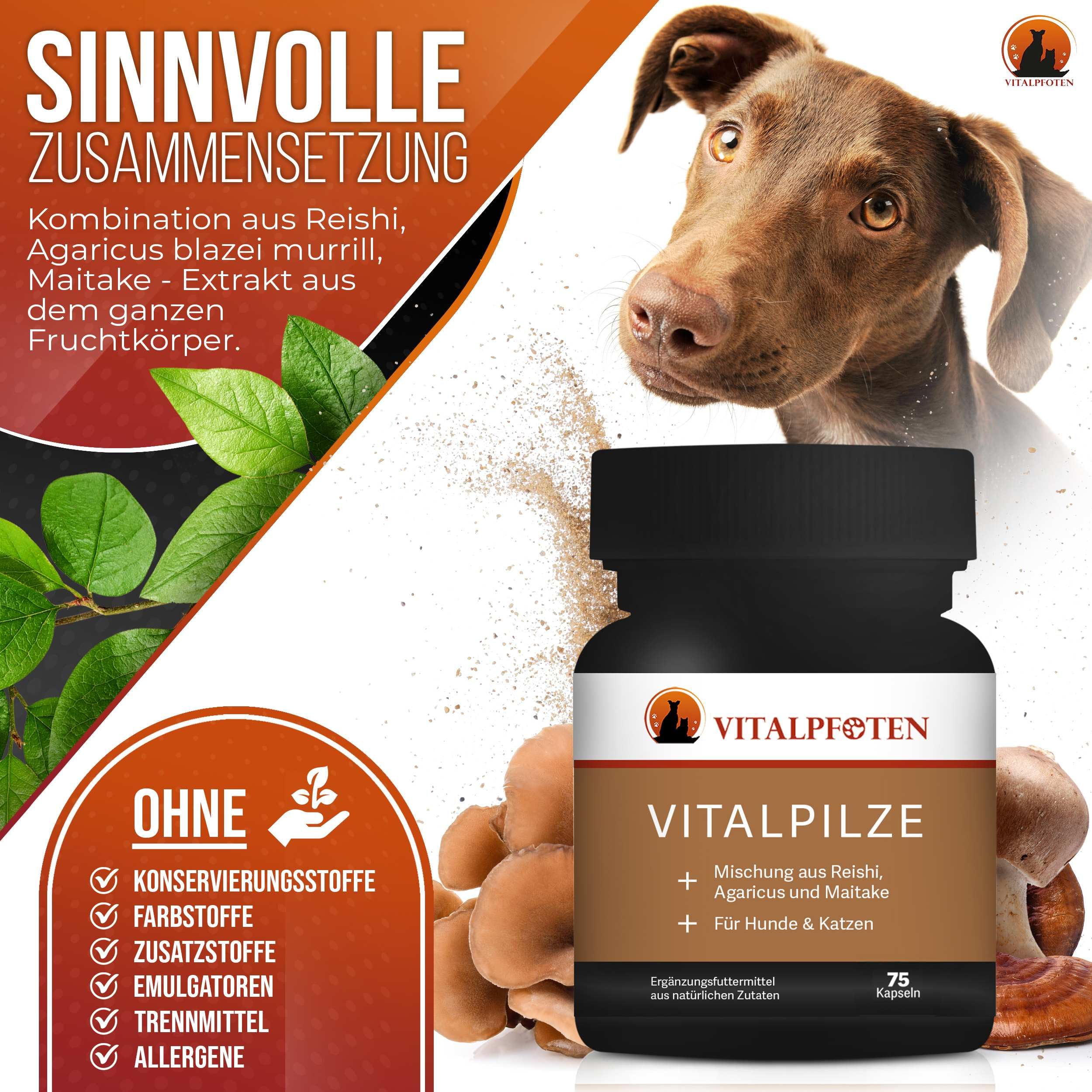 3x75 Vitalpilze Kapseln für Hunde & Katzen mit Heilpilz-Extrakt aus dem ganzen Fruchtkörper für das Immunsystem und Fellpflege