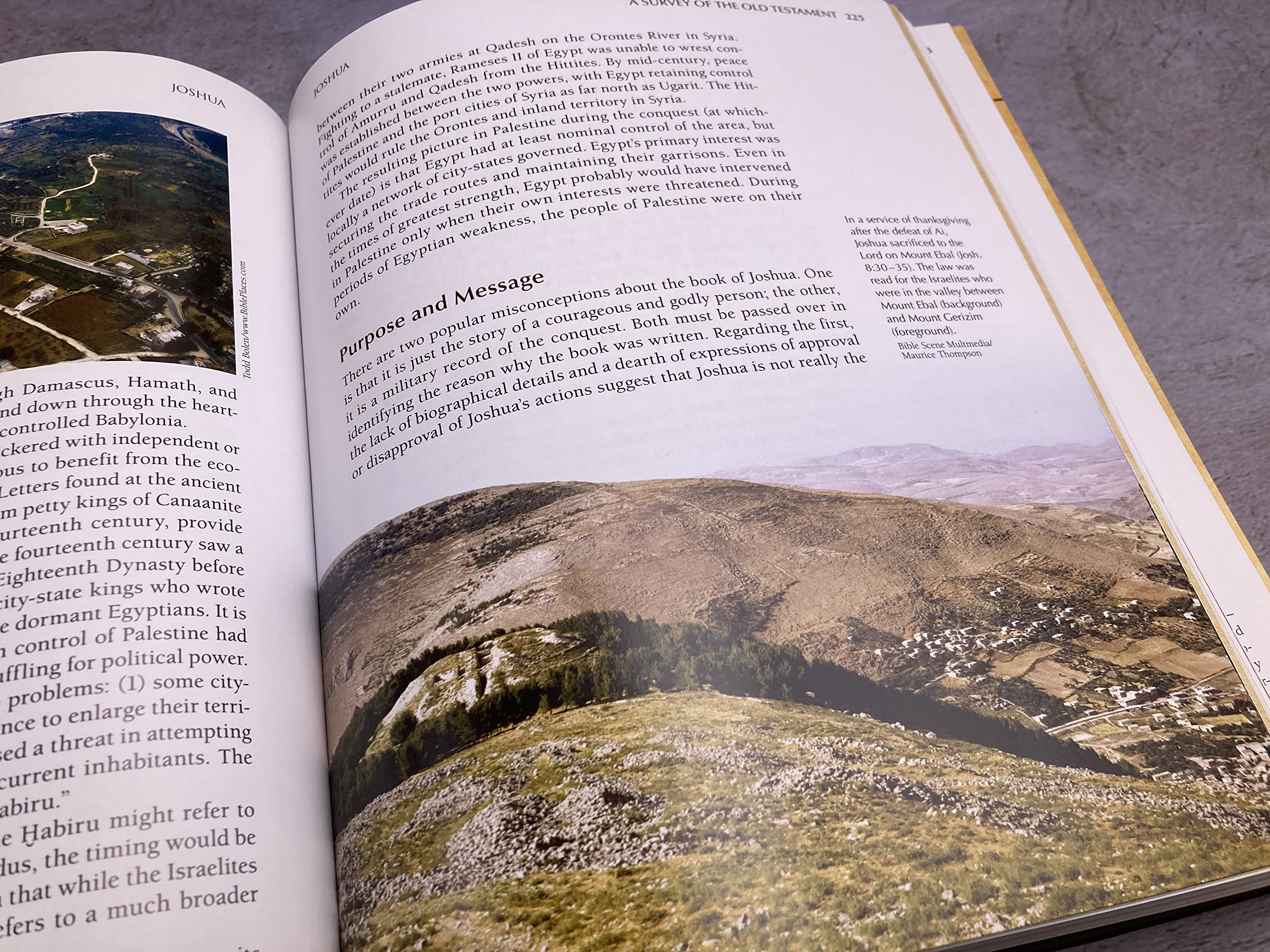 A Survey of the Old Testament - Image 8