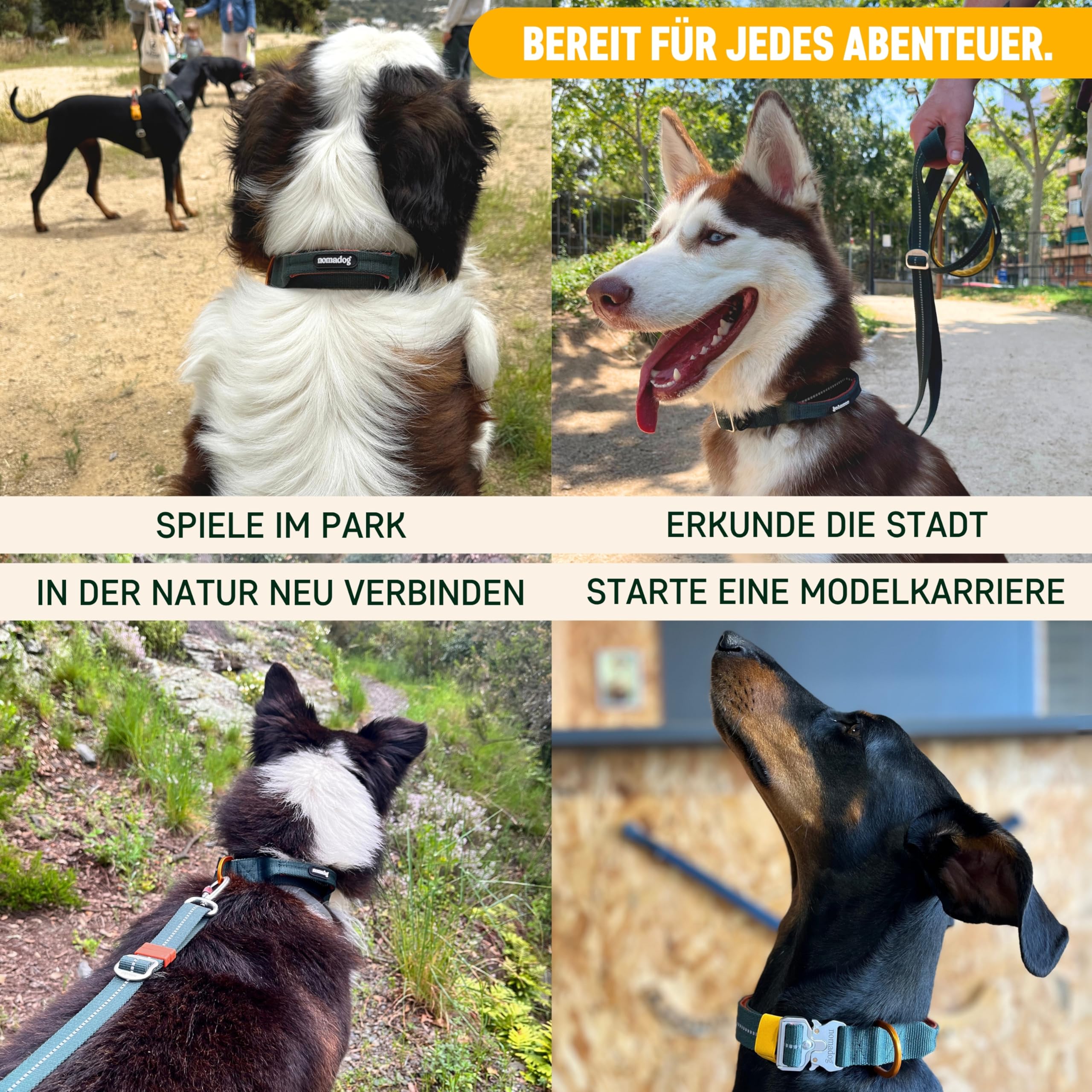 Nomadog Trailblazer Hundehalsband mit Griff für Große Hunde - Premium Aluminium Schnalle, Strapazierfähiges taktisches Halsband, Verstellbar, Gepolstert, Reflektierend (XL)