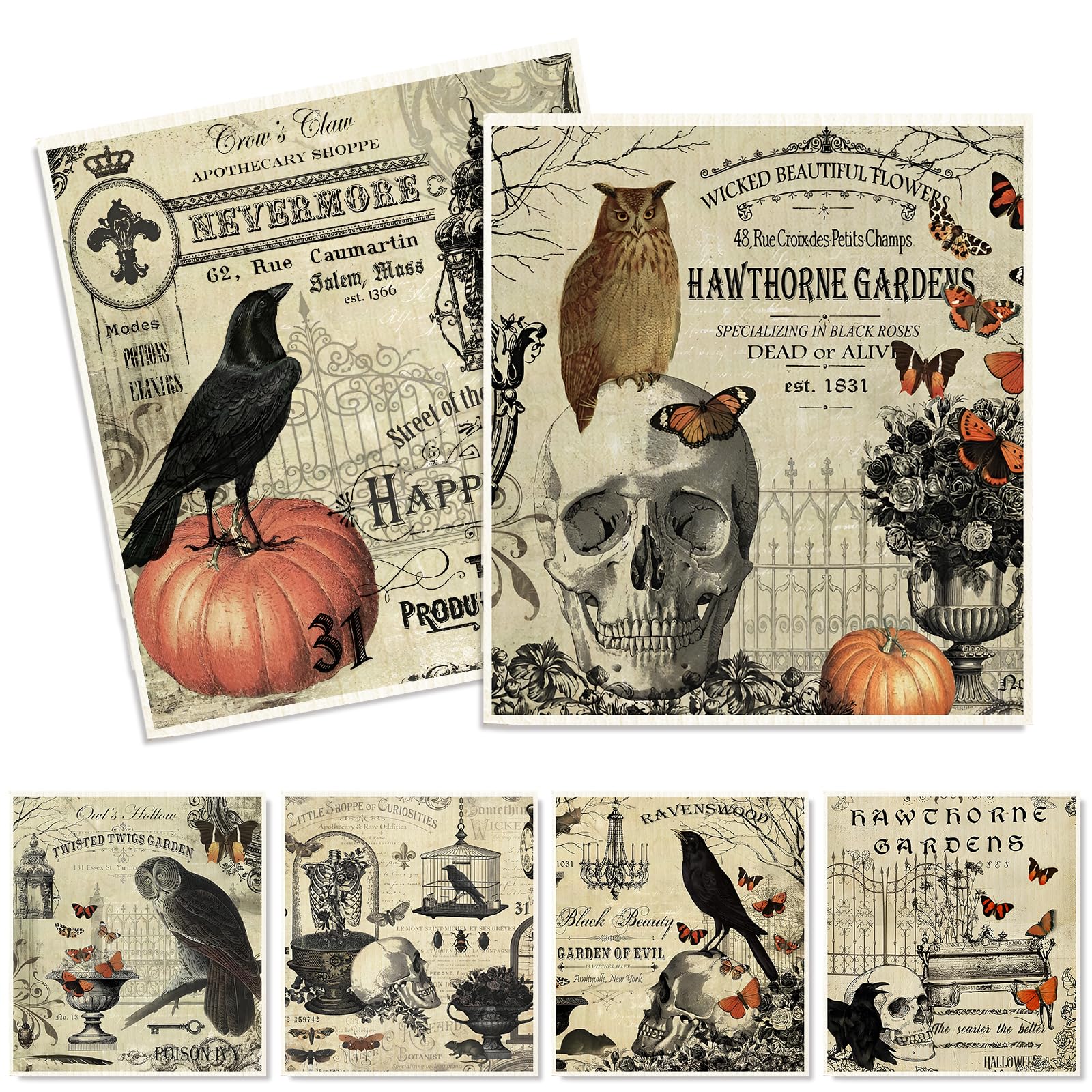 Torchons suédois absorbants Whaline : lot de 6 essuie-tout coton Halloween