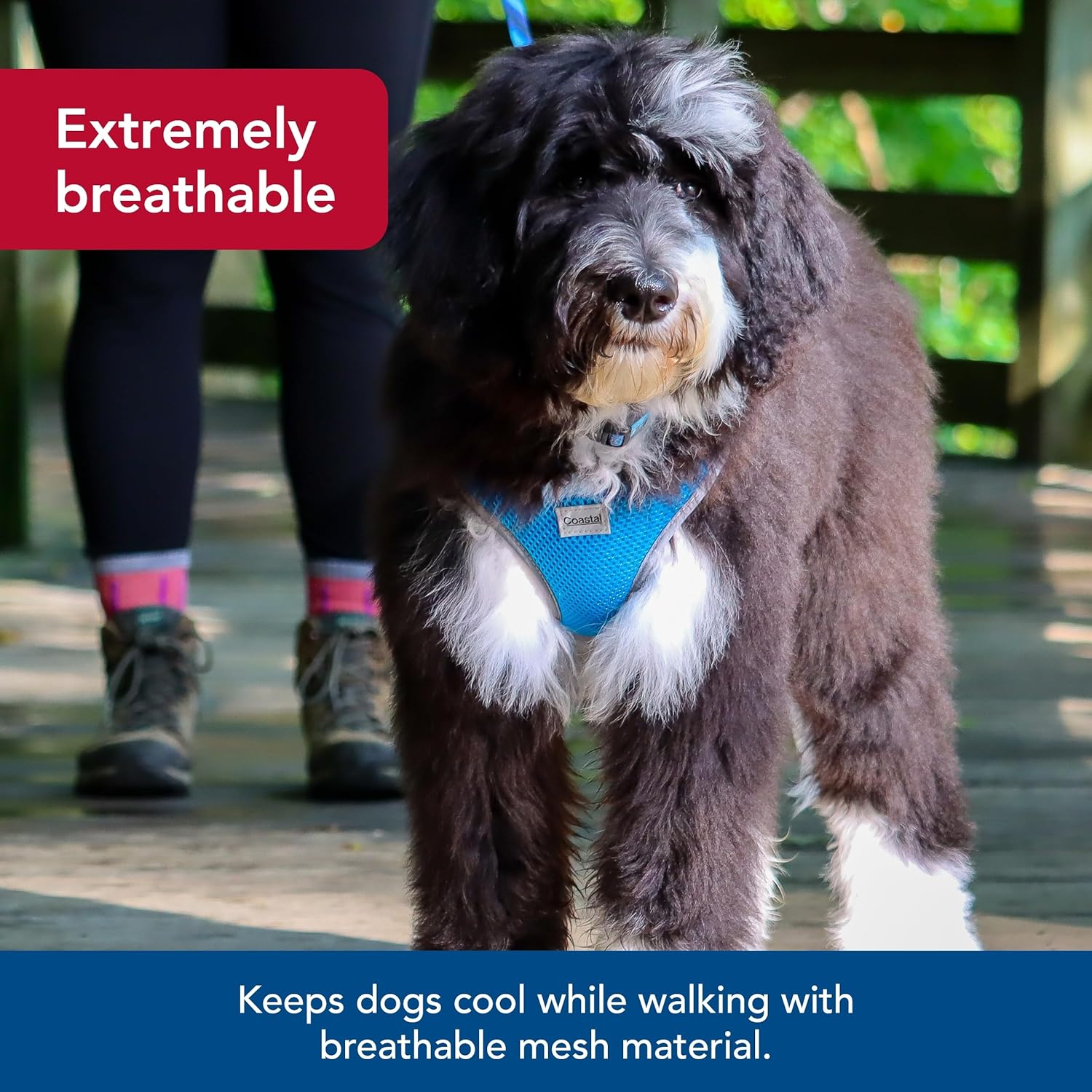 Coastal Pet Comfort Soft Reflective Wrap Adjustable Dog Harness - No-Pull Dog Harness for Small & Large Dogs - Blue Lagoon - 3/4" x 20"–29"