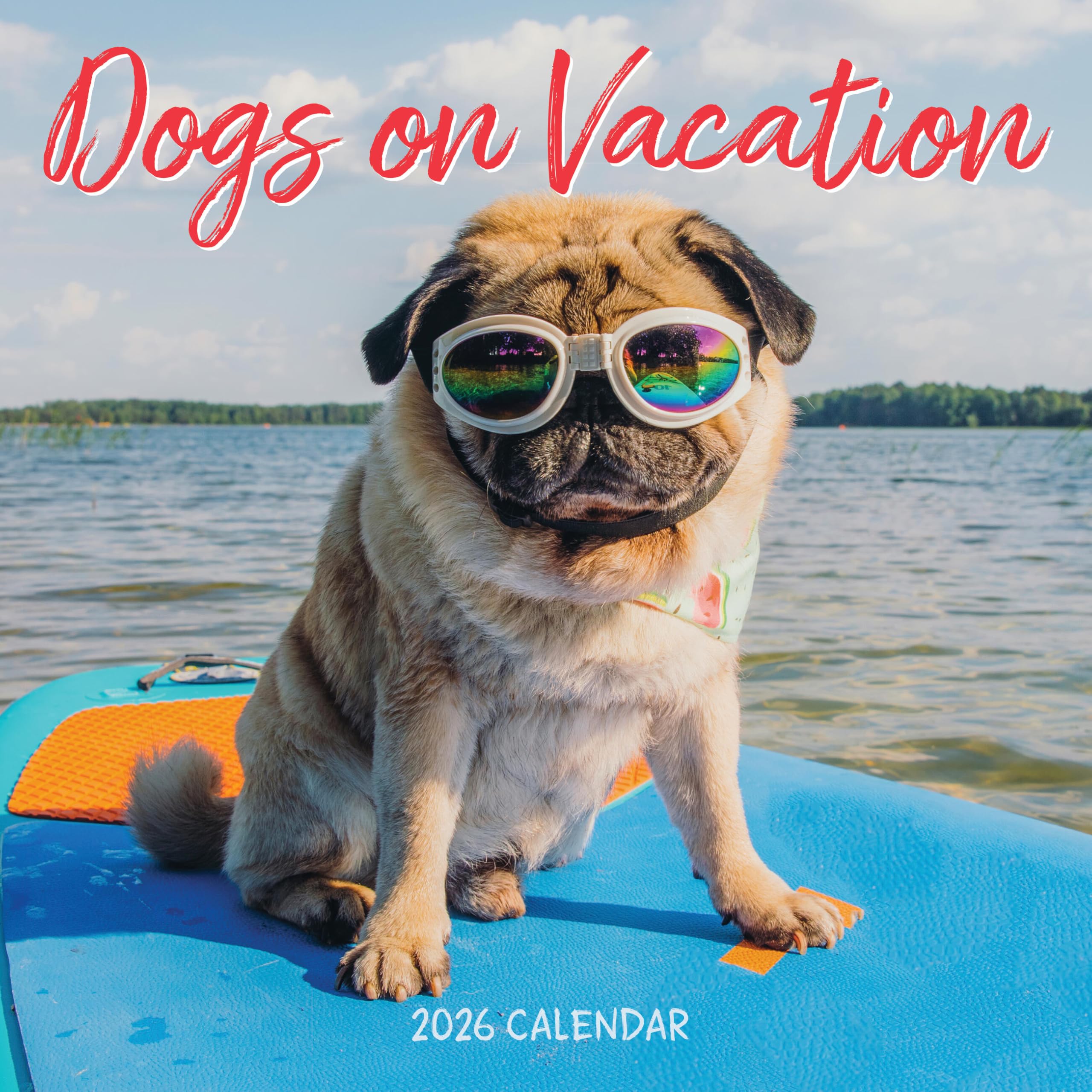 Dogs on Vacation Calendar 2026, Wall Calendars, Month To View, Dogs, Gift