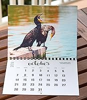 Vista 5 de 2018 Wall Calendar (The Real Backyard Birds of Rio de Janeiro)