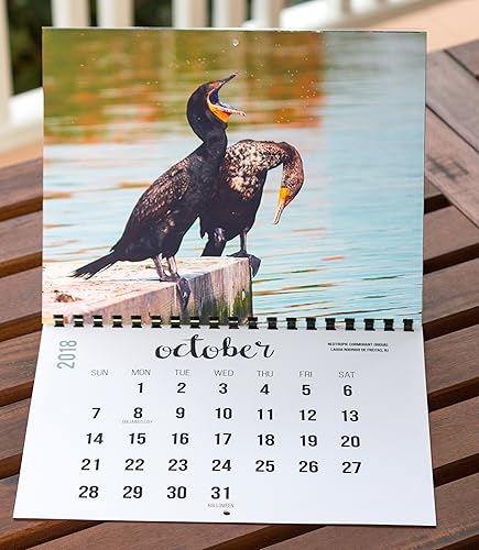 Miniatura 5 de 2018 Wall Calendar (The Real Backyard Birds of Rio de Janeiro)