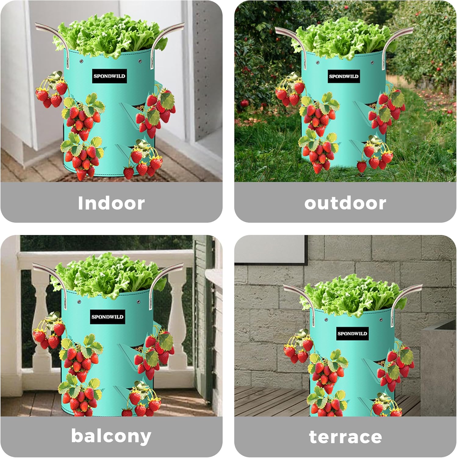 3 Pack 10 Gallon Strawberry Grow Bags, Heavy Duty PE Plant Pots with Breathable Windows and Drainage Holes, Ideal for Strawberries, Veggies, Flowers and Balcony - Image 8