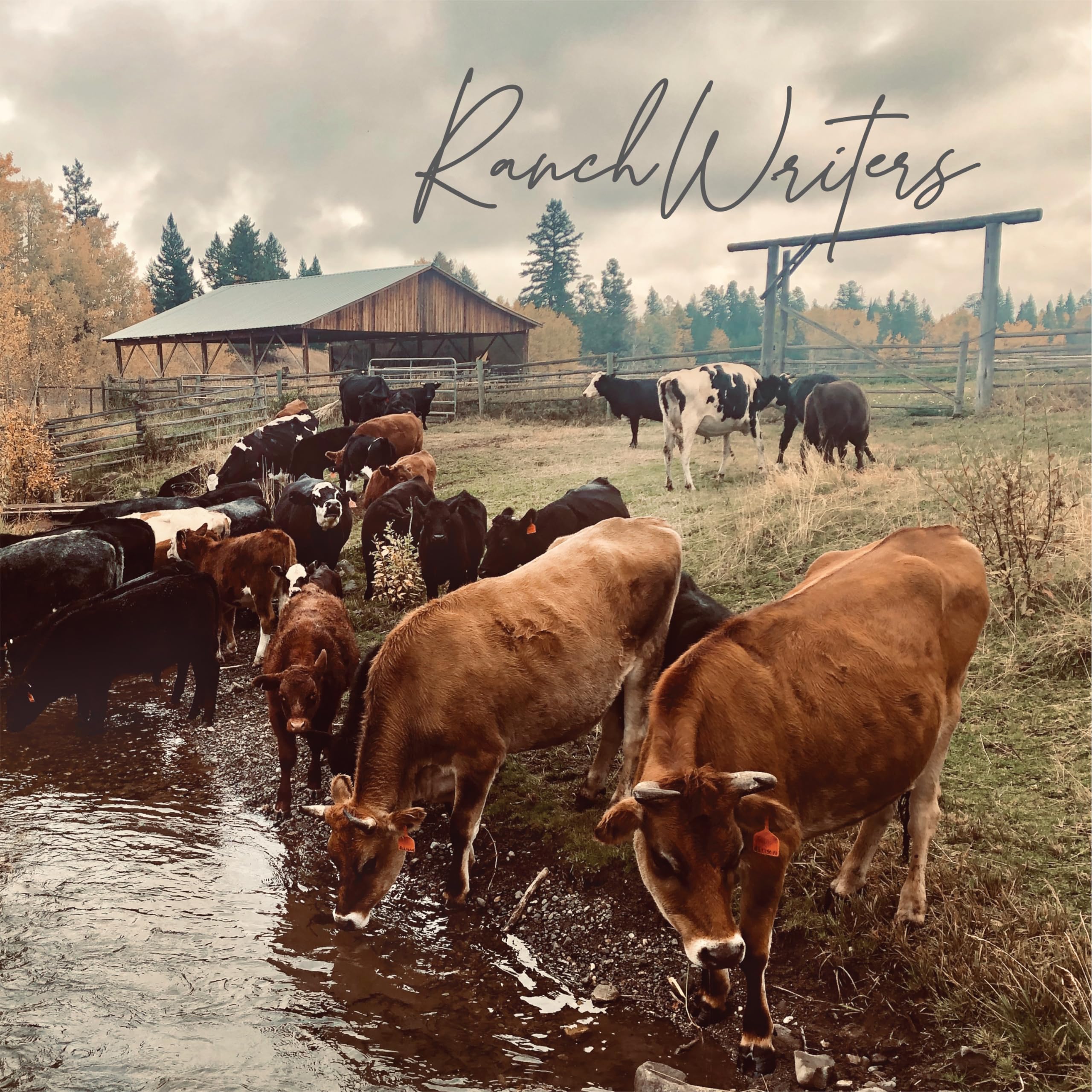 Ranchwriters Ranchwriters CD TND782 NEW