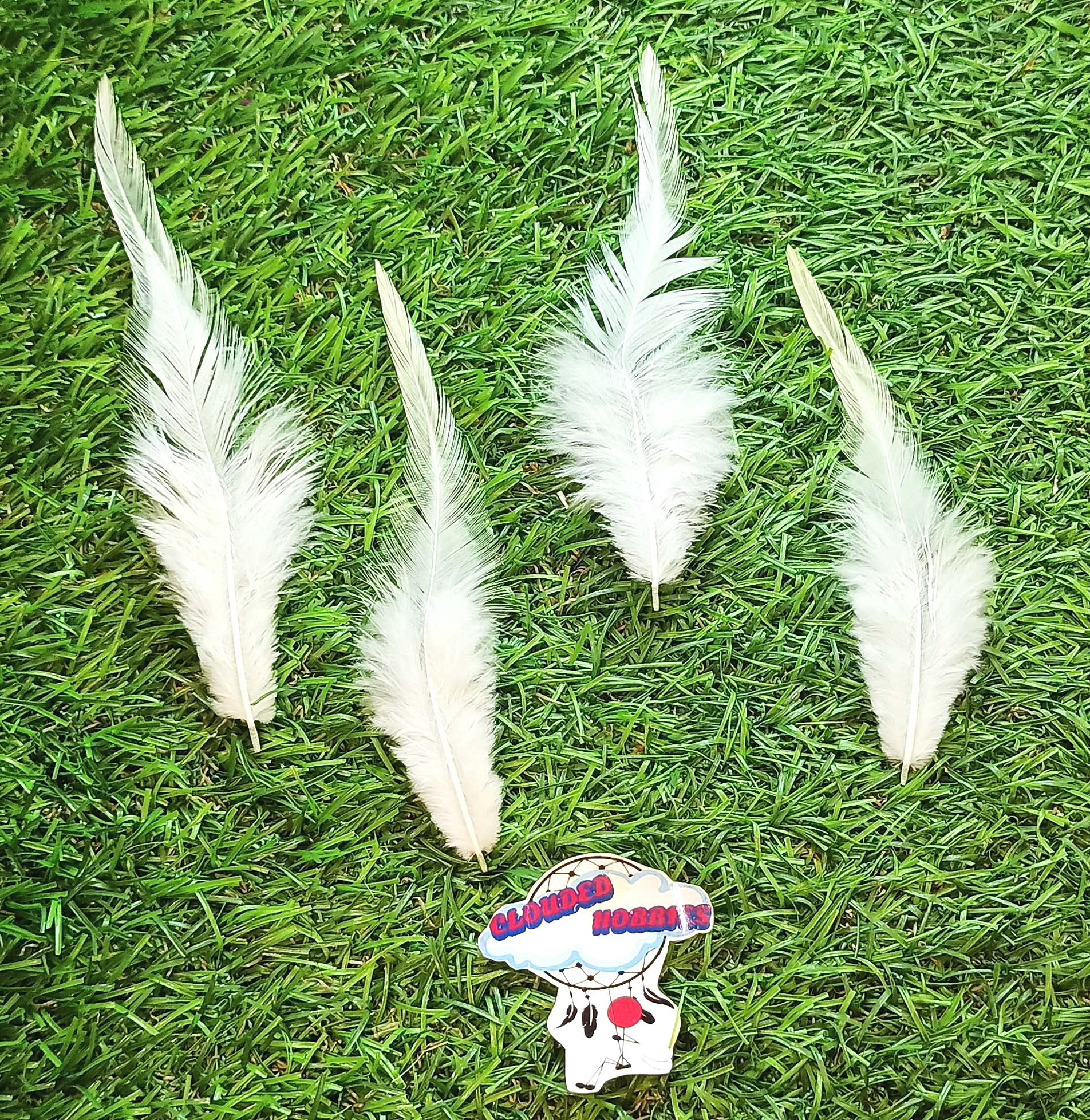 CLOUDED HOBBIES Colour Feather Pack of 50 Pieces for Craft Decor DIY 5 INCH (+/-) Long (Big Tail Head, White)-picture-10