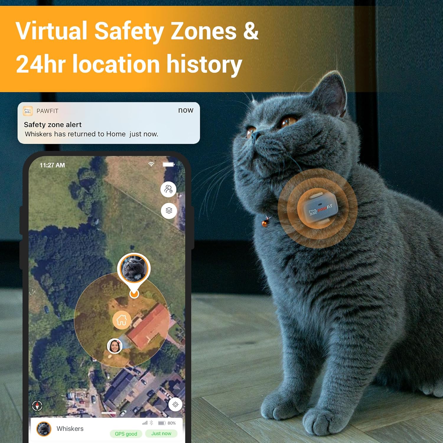 A grey cat wearing a Pawfit Lite tracker looks up, with a smartphone displaying the Pawfit app showing a virtual safety zone on a map and a safety zone alert notification.
