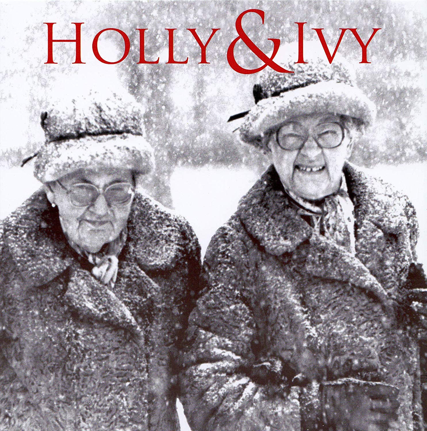 Charity Christmas Cards (ALM4287) In Aid Of The Royal National Lifeboat Association (RNLI) - Holly & Ivy - Pack Of 8 Cards