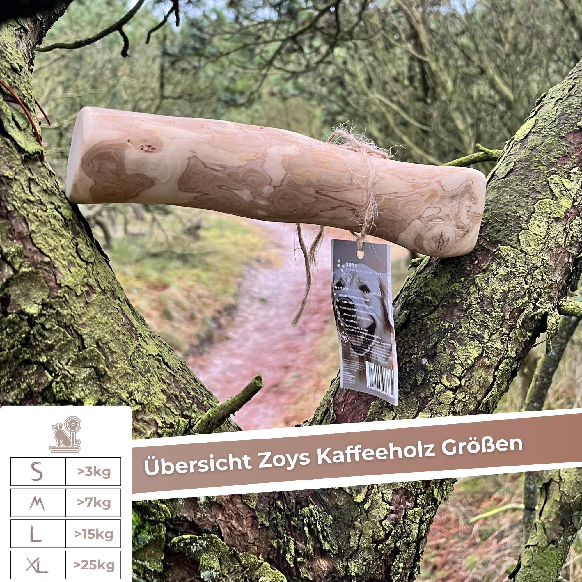 Zoys® Kaffeeholz für Hunde - Natürlicher Kauknochen für Hunde in 5 Größen - Kaustab für Zahnreinigung & Zahngesundheit & nachhaltige Beschäftigung - Hundezubehör langlebig & risikoarm (L, 3, stück)