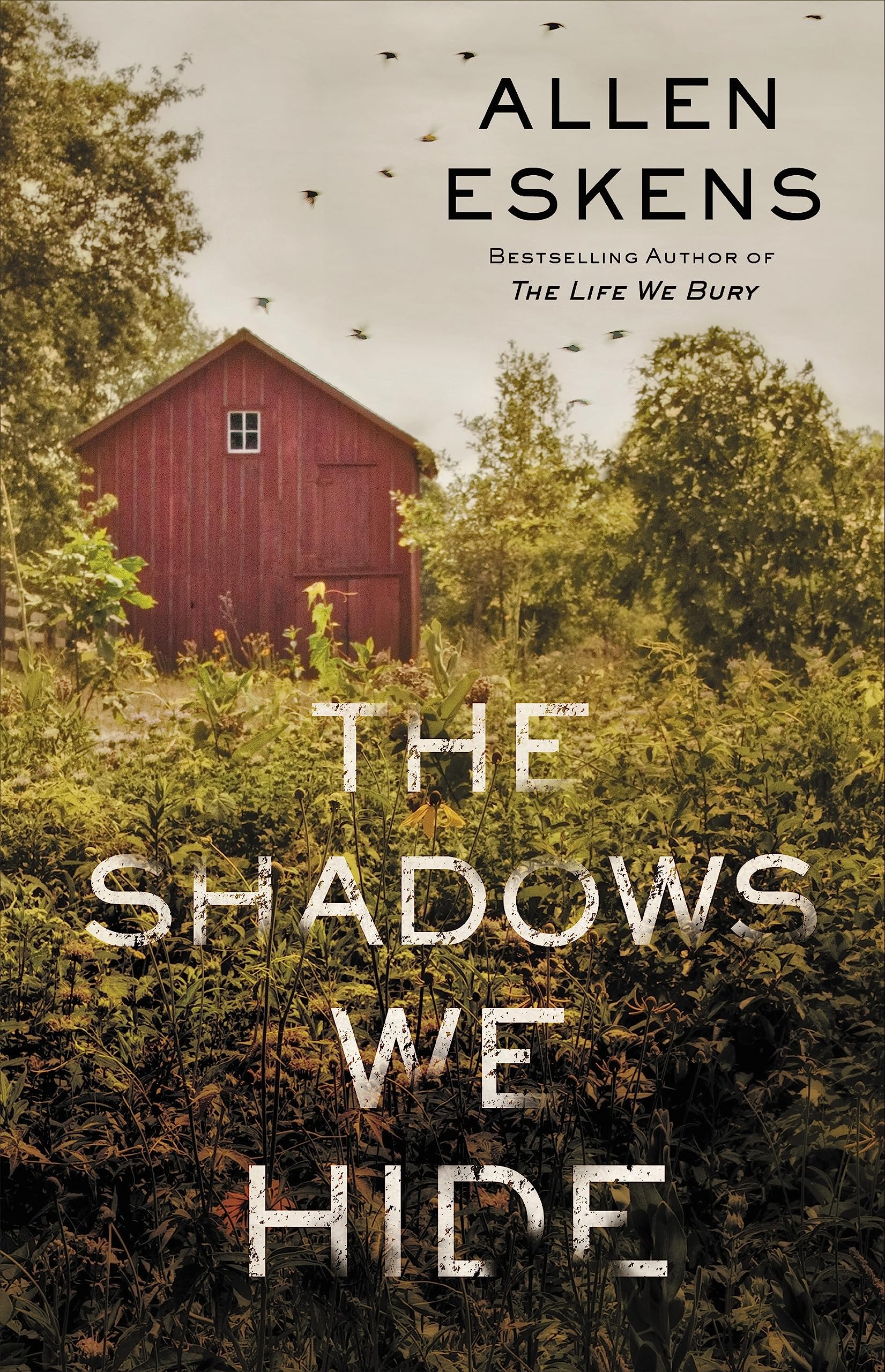 The Shadows We Hide
