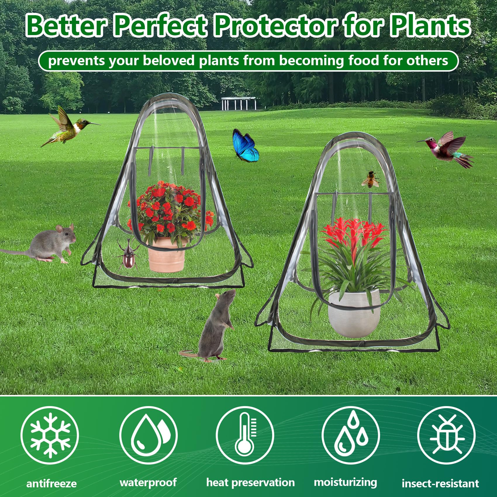 DEDU Cubierta de invernadero emergente, pequeña tienda de campaña transparente portátil de 68 x 68 x 78 cm con 4 clavos fijos y herramientas, 3 piezas de mini tienda de invernadero de PVC para plantas