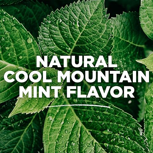 Miniatura 7 de Toms of Maine Natural Wicked Fresh - Enjuague bucal sin alcohol menta fresca de montaña 16 onzas paquete de 6 el embalaje puede variar