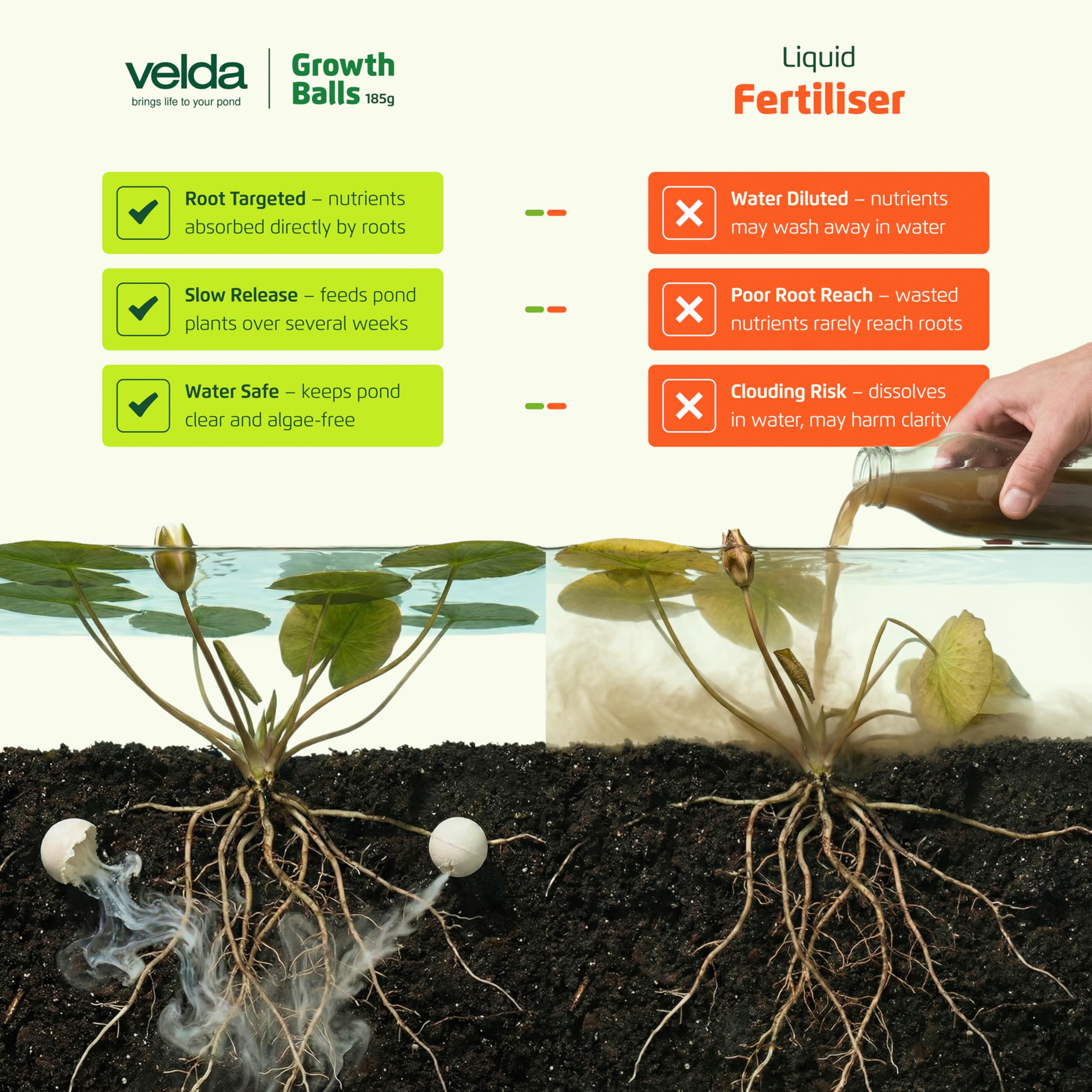 Velda 122250 fertilizante para plantas acuáticas, 50 bolas – bolas de crecimiento