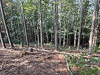 Review Image by John Mayfield John Mayfield