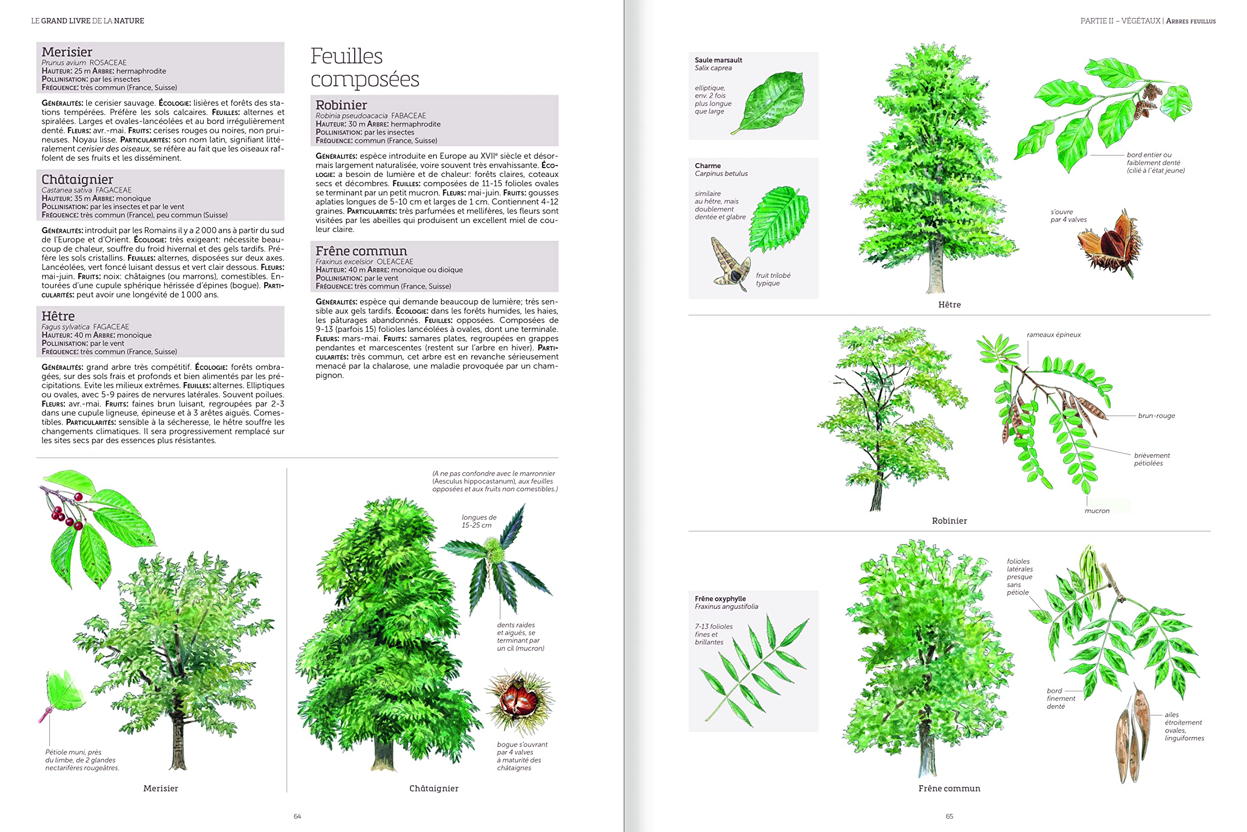 Le grand livre de la nature