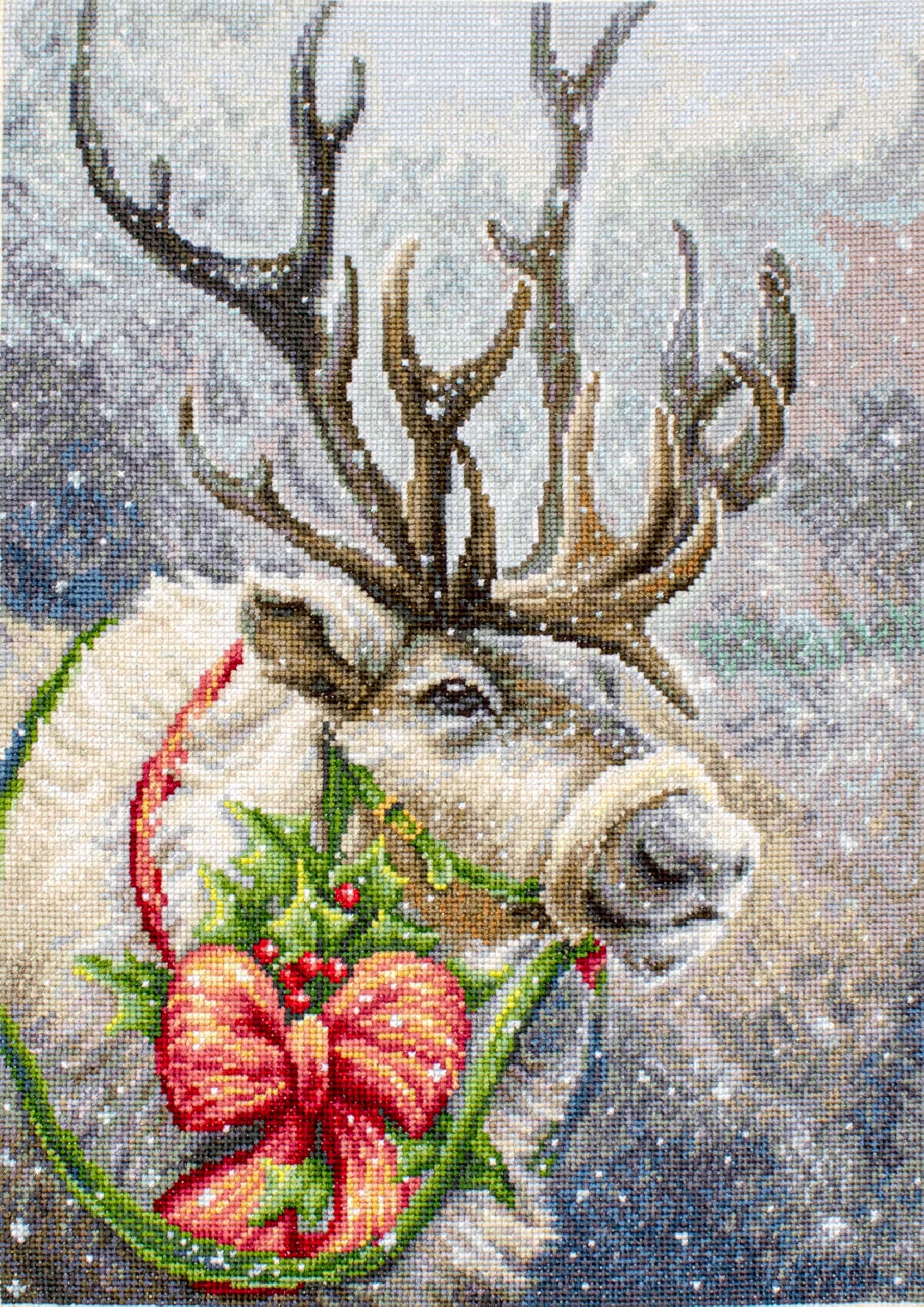 Lucas Multicoloured Cross Stitch Set, Cotton, 19X19cm