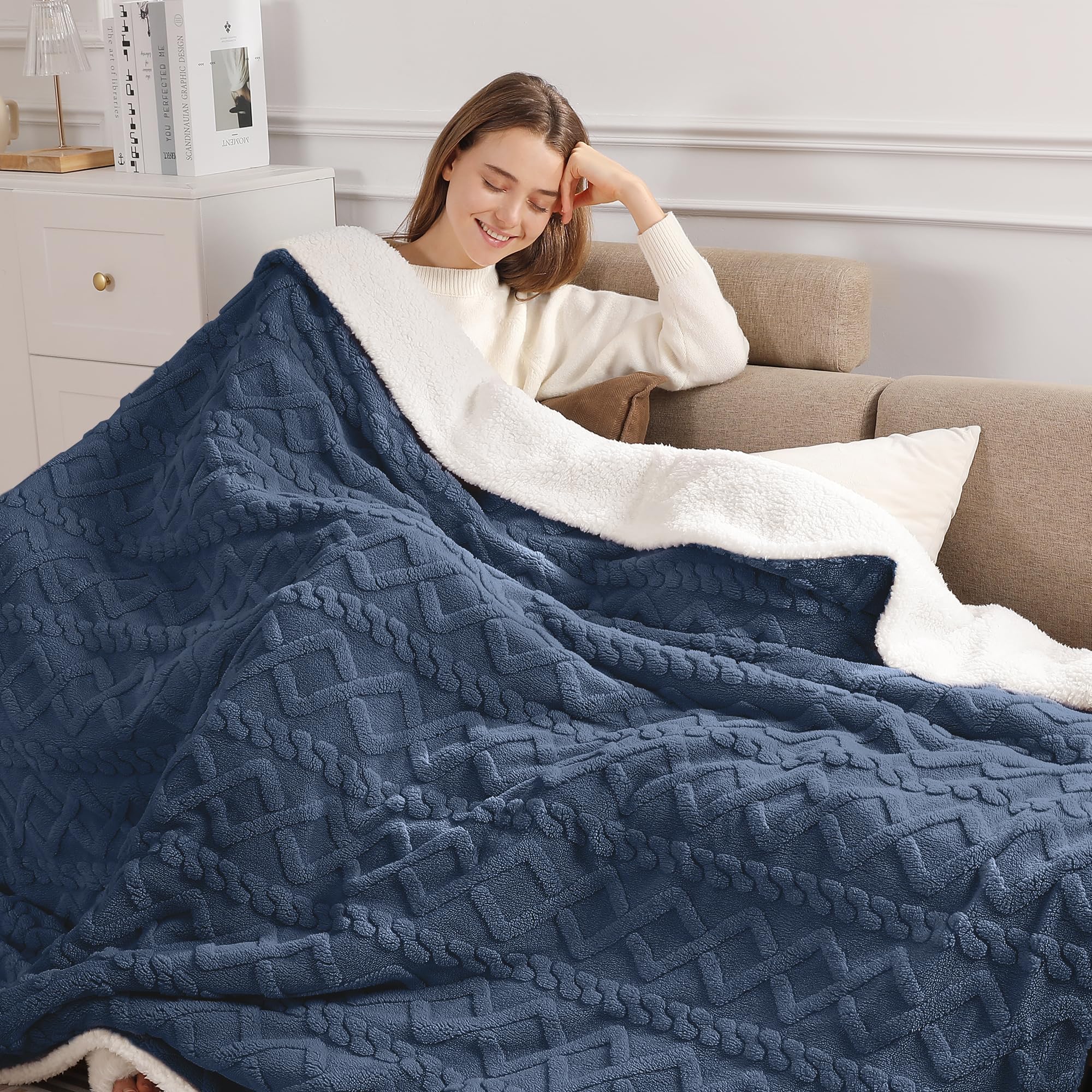 Zorvixia Sherpa Twin Heating Blanket