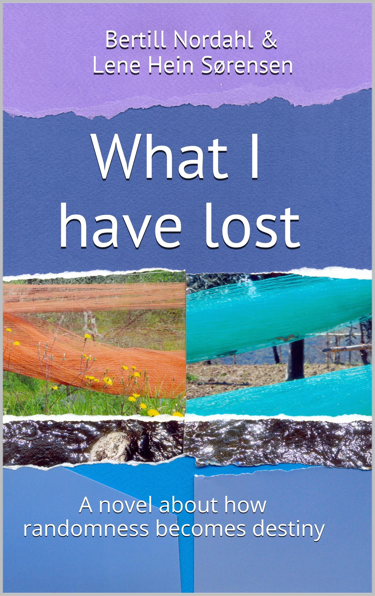 What I have lost: A novel about how randomness becomes destiny (Danish Edition)