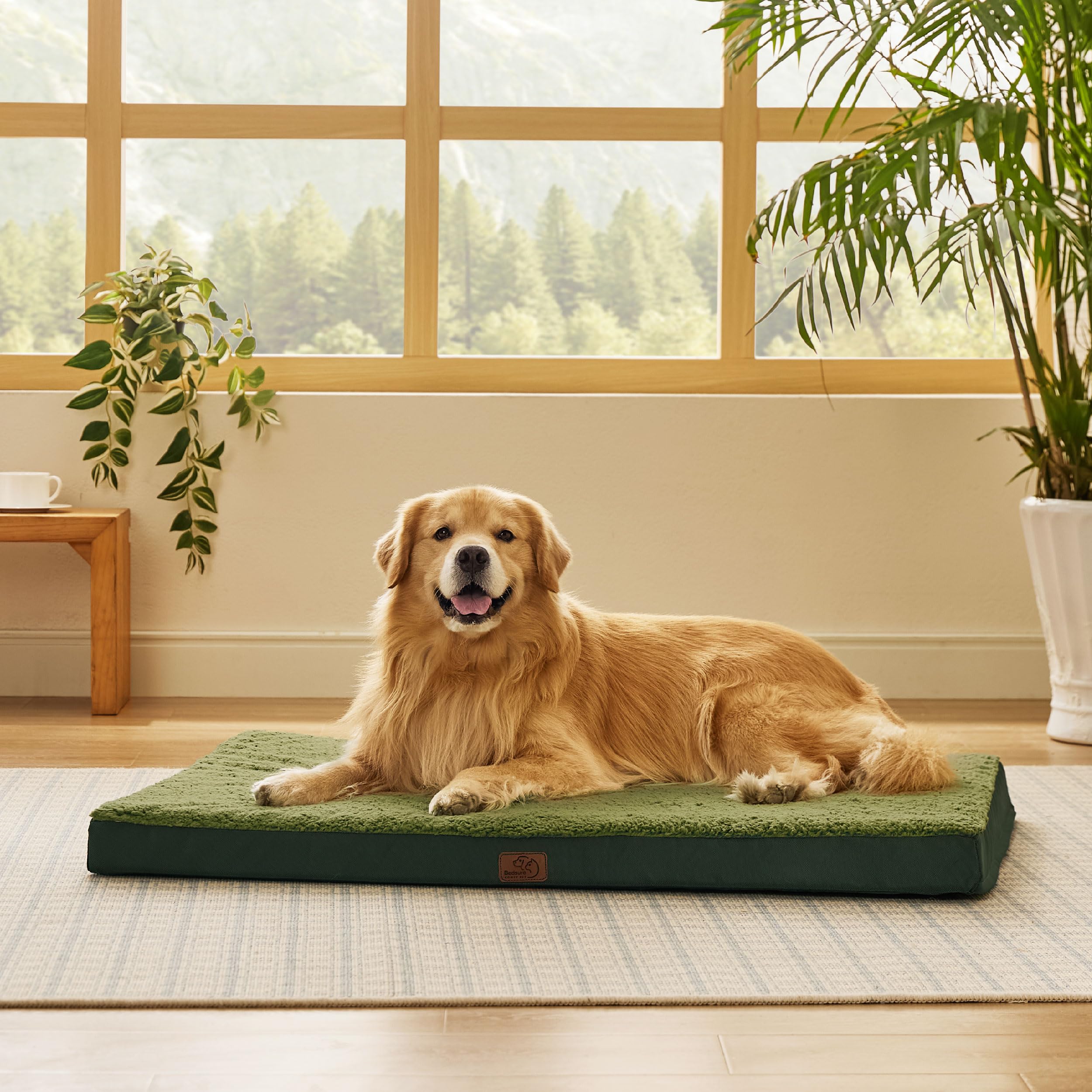 Bedsure Cuscino per Cane Gande - Materassino per Cani Taglia Grande Interno Cuscino Cane Sfoderabile Lavabile 112x81x7.6 cm, Verde