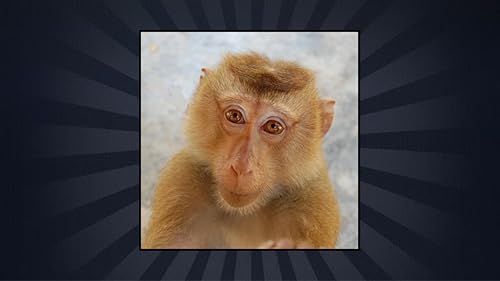 Macaco espécie Trivia Quiz