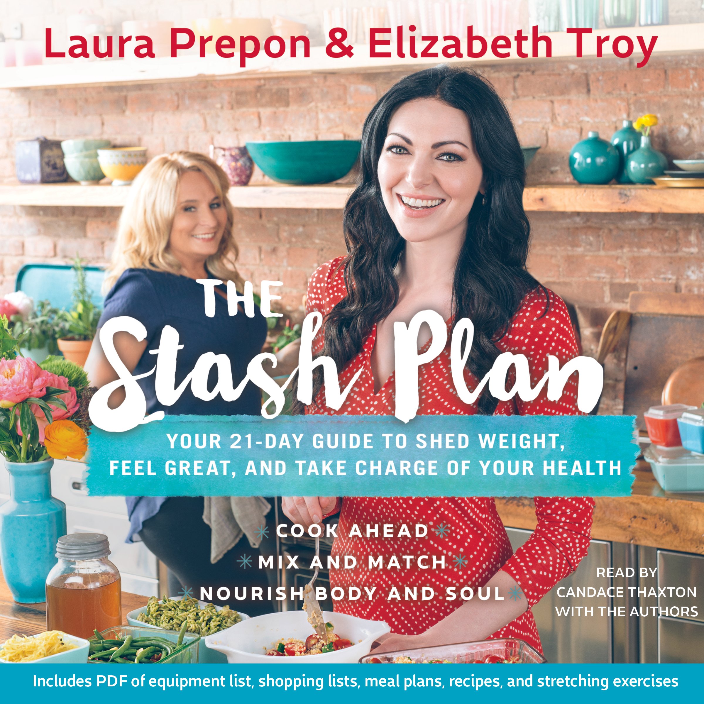 Cover art for The Stash Plan