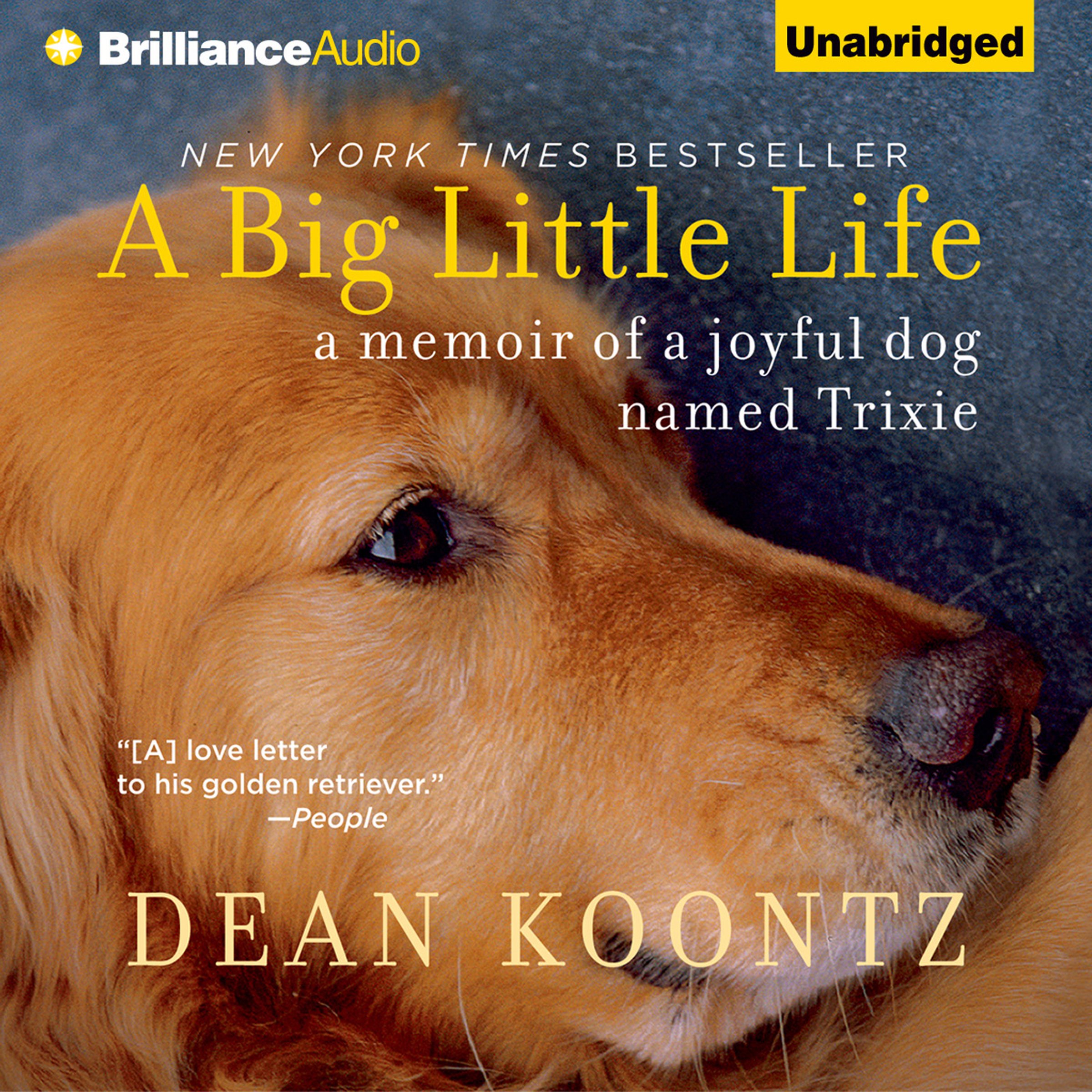 Cover art for A Big Little Life