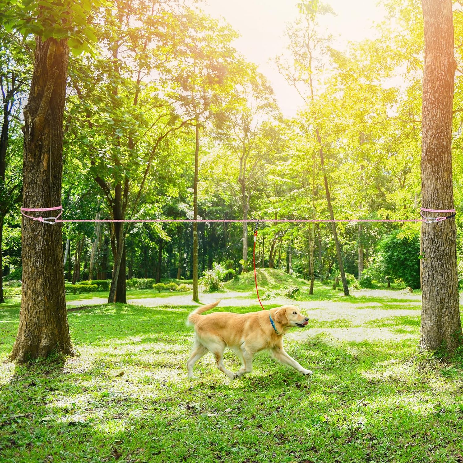 Tresbro Dog Camping Leash, 50ft/75ft/100ft Dog Trolley System Bearing Capacity up to 300lbs, Portable Lightweight Runner Lead for Yard, Reflective Tie Out Cable for Camping, Courtyard, Park, Outside