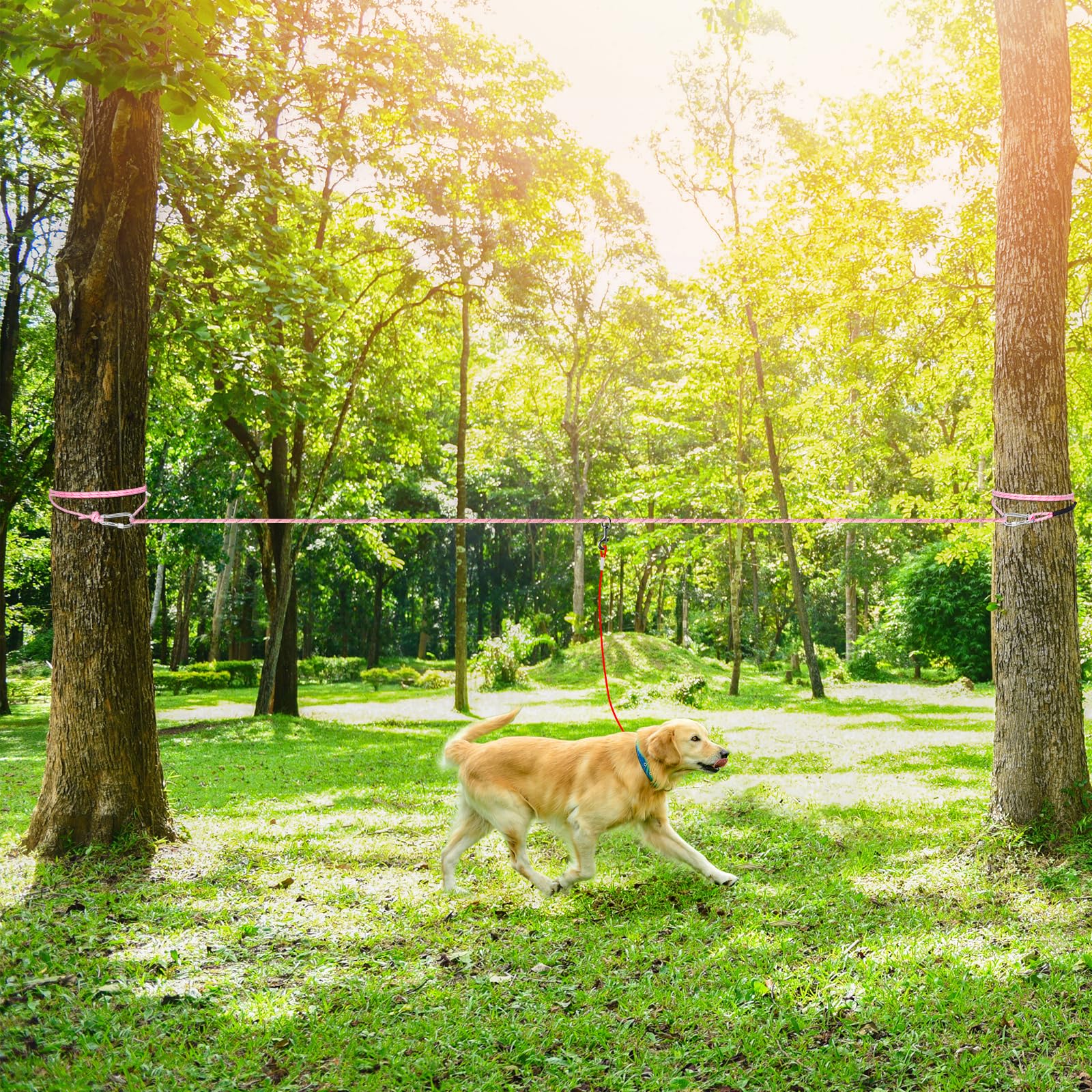 Tresbro Cuerda de cable de amarre para perros de hasta 300 libras, rosa, 75 pies