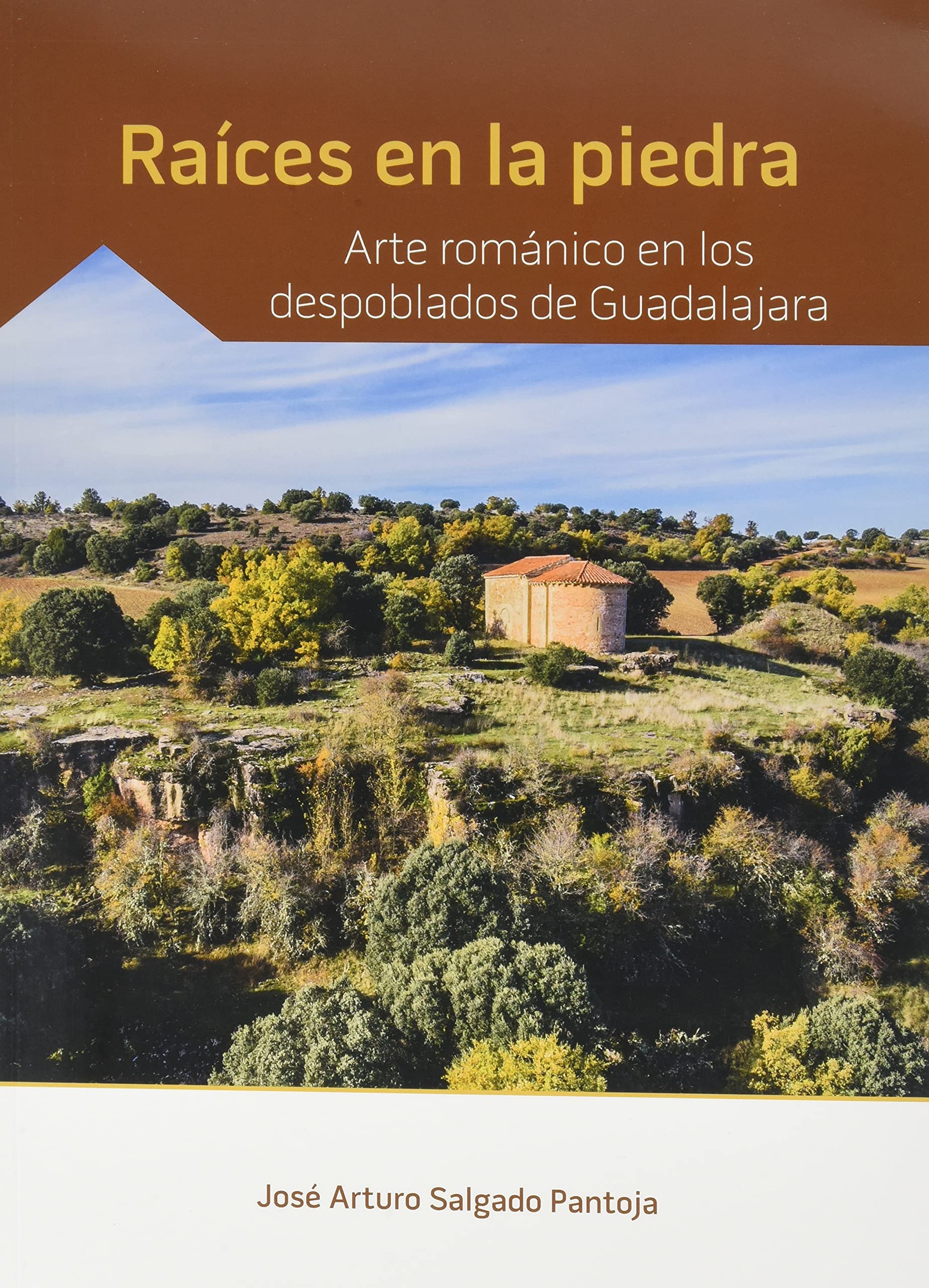 Raíces en la piedra. Arte románico en los despoblados de Guadalajara (SIN COLECCION)