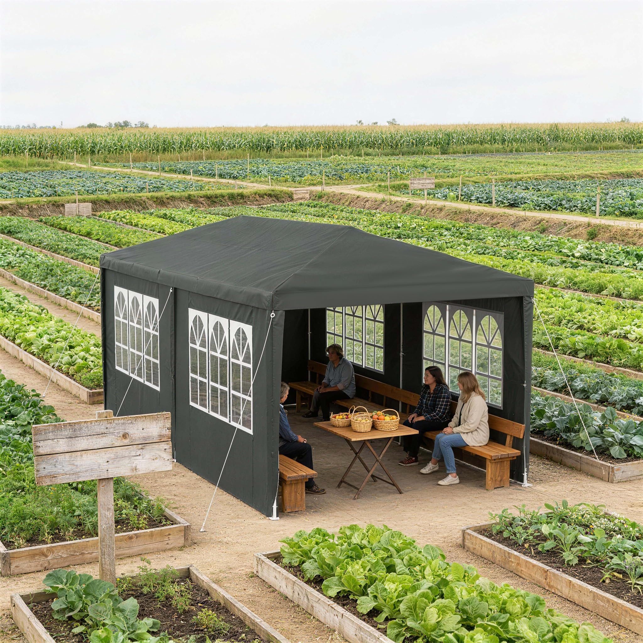 Aufun Carpa para fiestas, 3 x 6 m, resistente al agua, para jardín, exterior, protección UV, con 6 paredes laterales extraíbles y techo, resistente al invierno, camping, color antracita