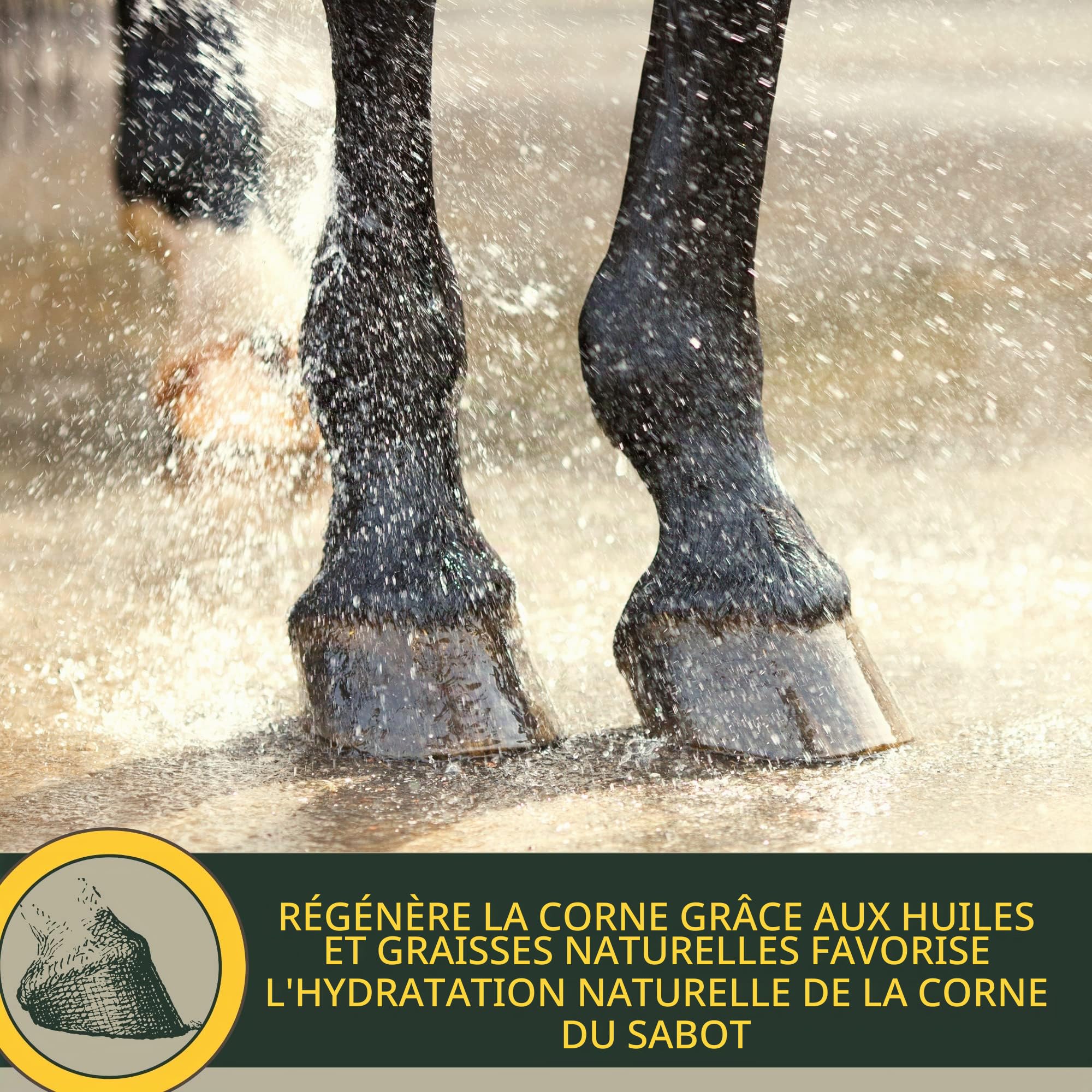 Spray pour crinière de cheval I Spray pailleté pour robe et poils longs I graisse pailleté I Kit de soins pour chevaux 3 pièces enfants I Spray pour queue rose I spray avec paillettes 500ml 2*250ml