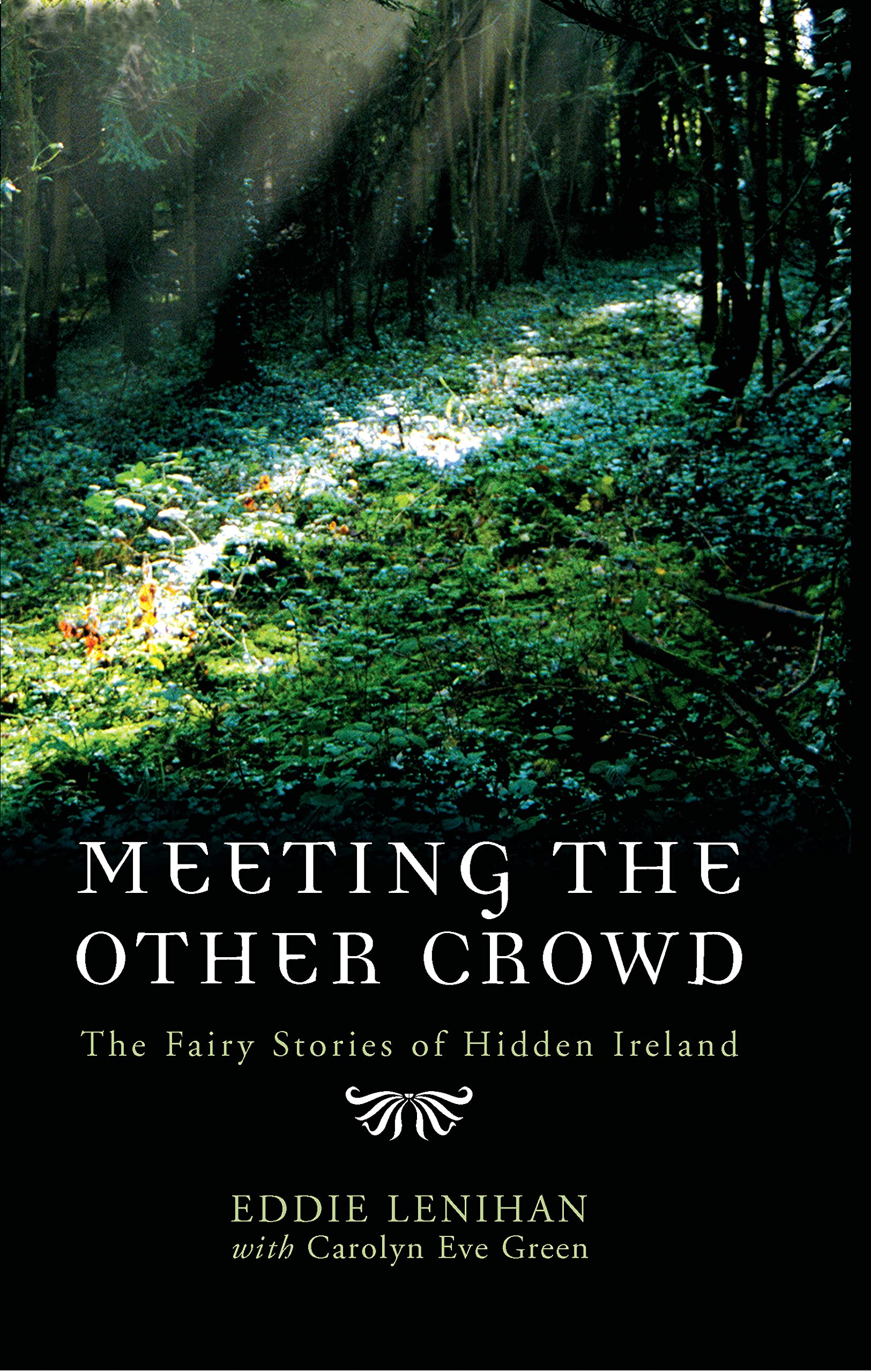 Meeting the Other Crowd: The Fairy Stories of Hidden Ireland,Edd