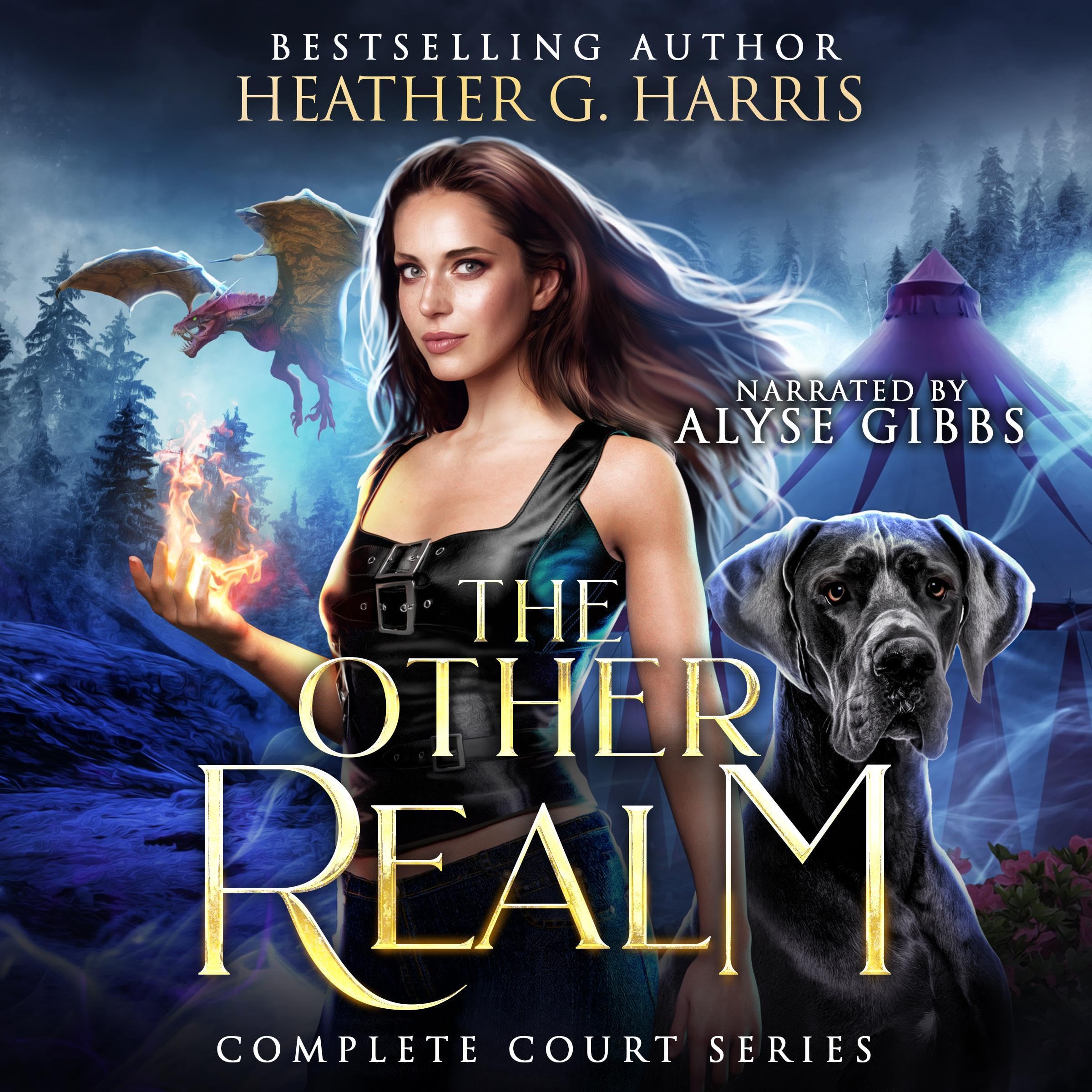 Cover art for The Other Realm: The Court Series Omnibus