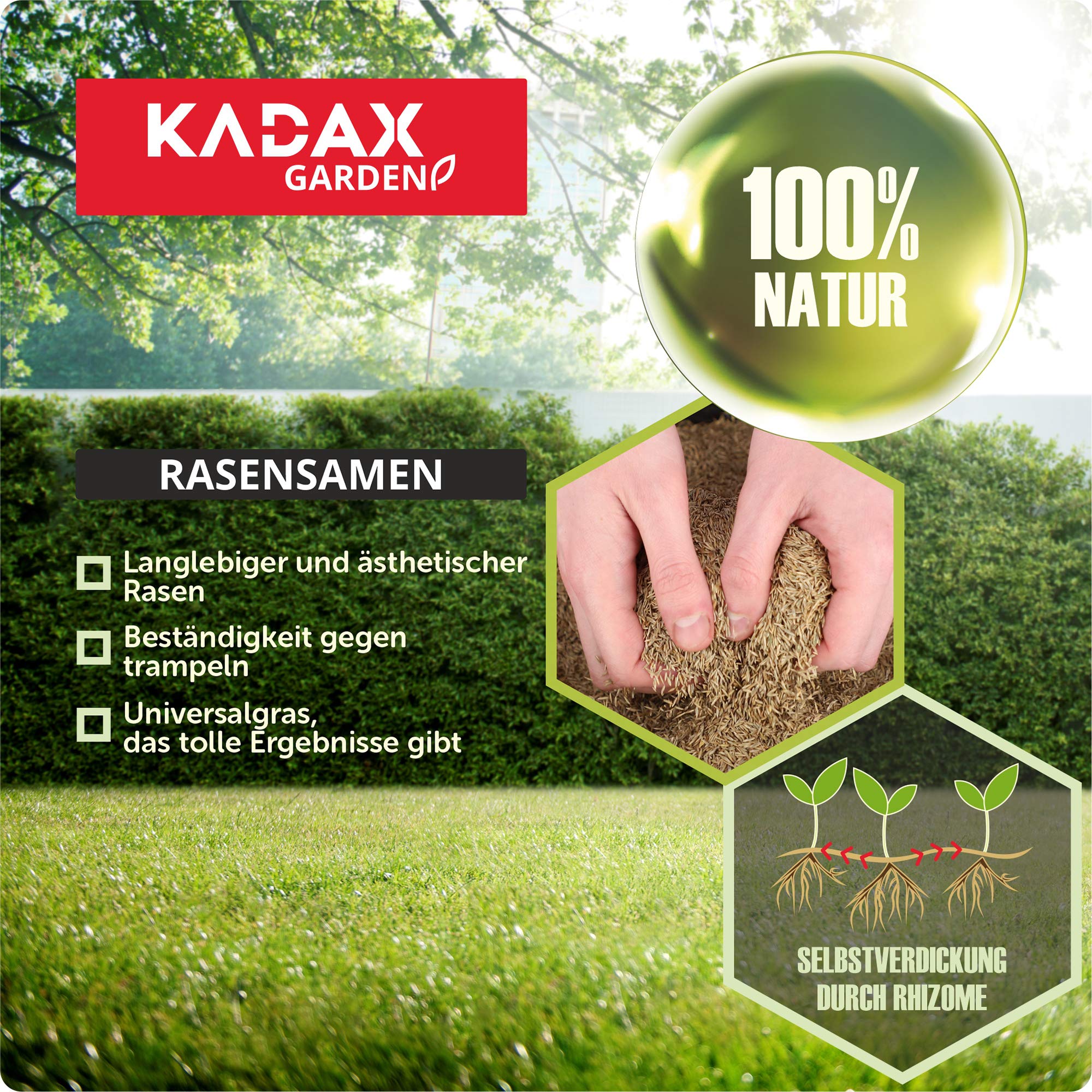 KADAX nasiona traw, 600 m², nasiona traw, trawa uniwersalna, mieszanka traw, nasiona, mieszanka nasion traw, nasiona na solidne i estetyczne trawniki (15 kg)