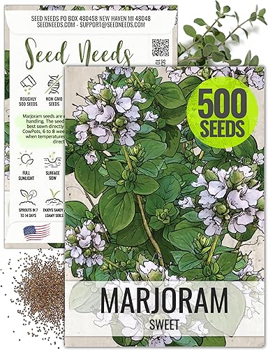 Seed Needs Semillas de mejorana dulce para plantar, reliquia, sin OMG y sin tratar, hierbas culinarias y medicinales perennes para cultivo en