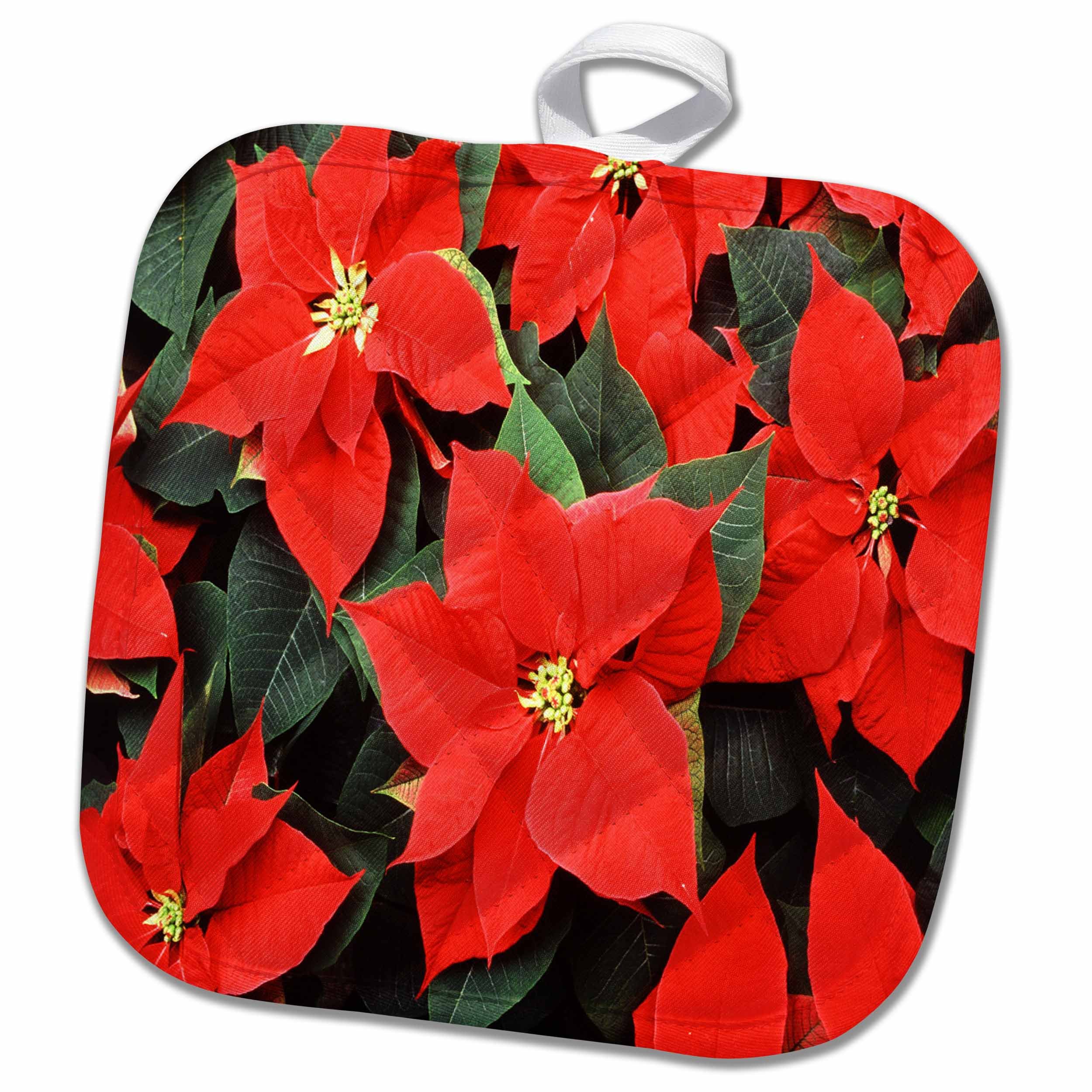 3dRose Poinsettias Topflappen, Weiß, 8" x 8"