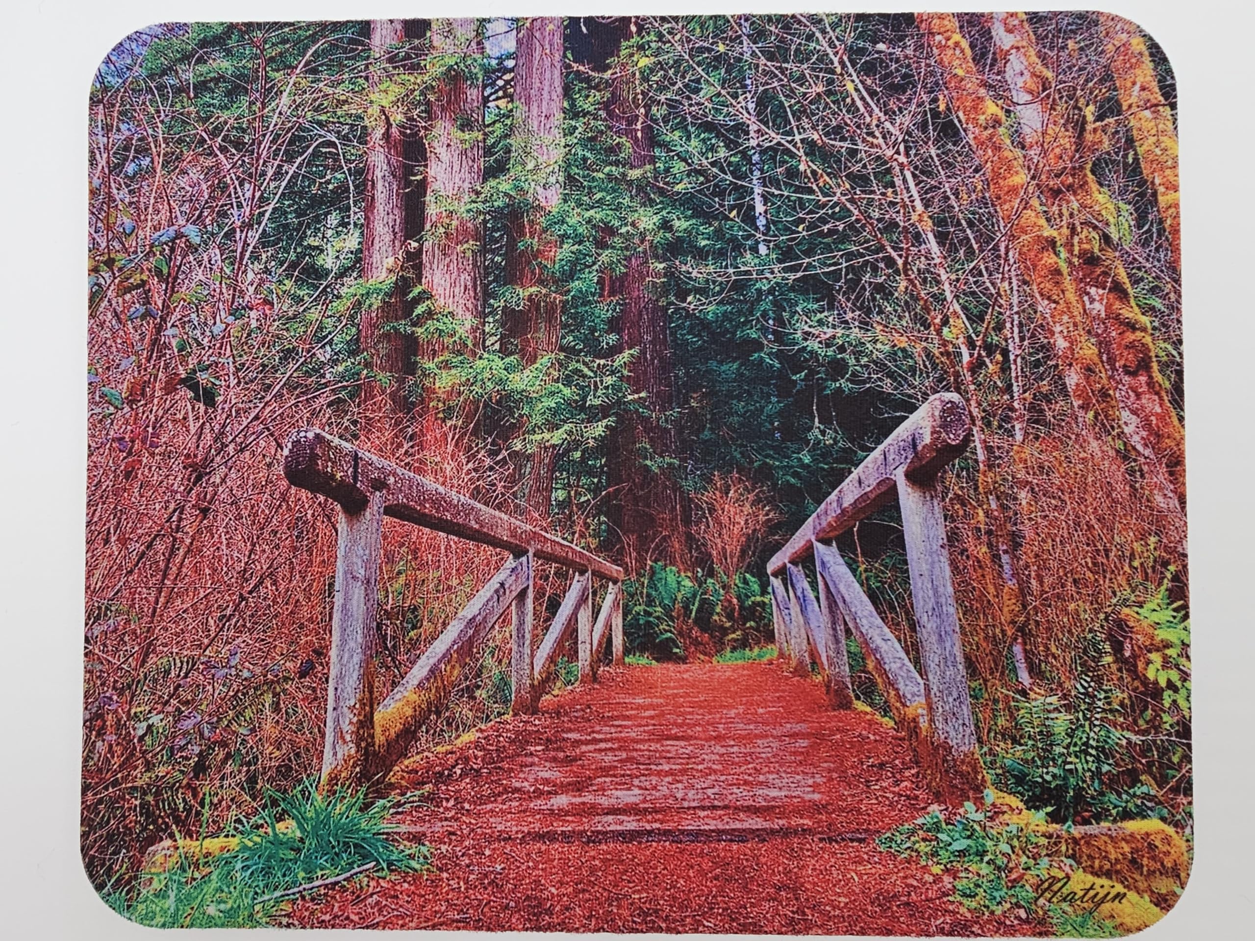 Natijn 7.75" x 9.25" x 0.22" Mouse Pad 5.5MM Extra Thick Non-Slip Rubber Base for Desk Computers Gaming Smooth Glide Mousepad (Foothill Trail)