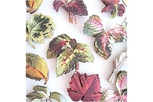 Anna Griffin 156Pcs Foliage Sticker Kit