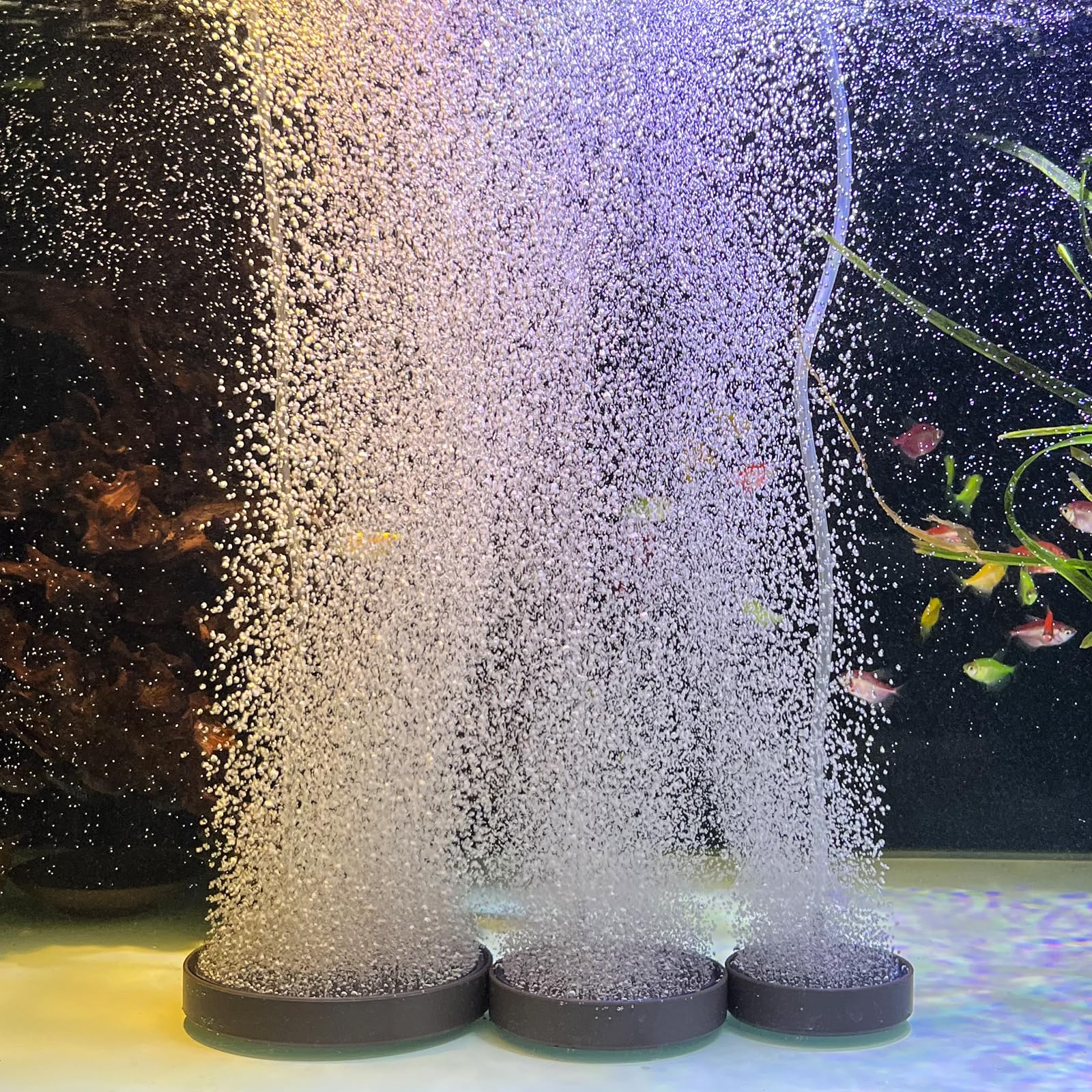 boxtech Kit pietra porosa per acquario (S - 130 mm)