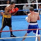 Boxing News
