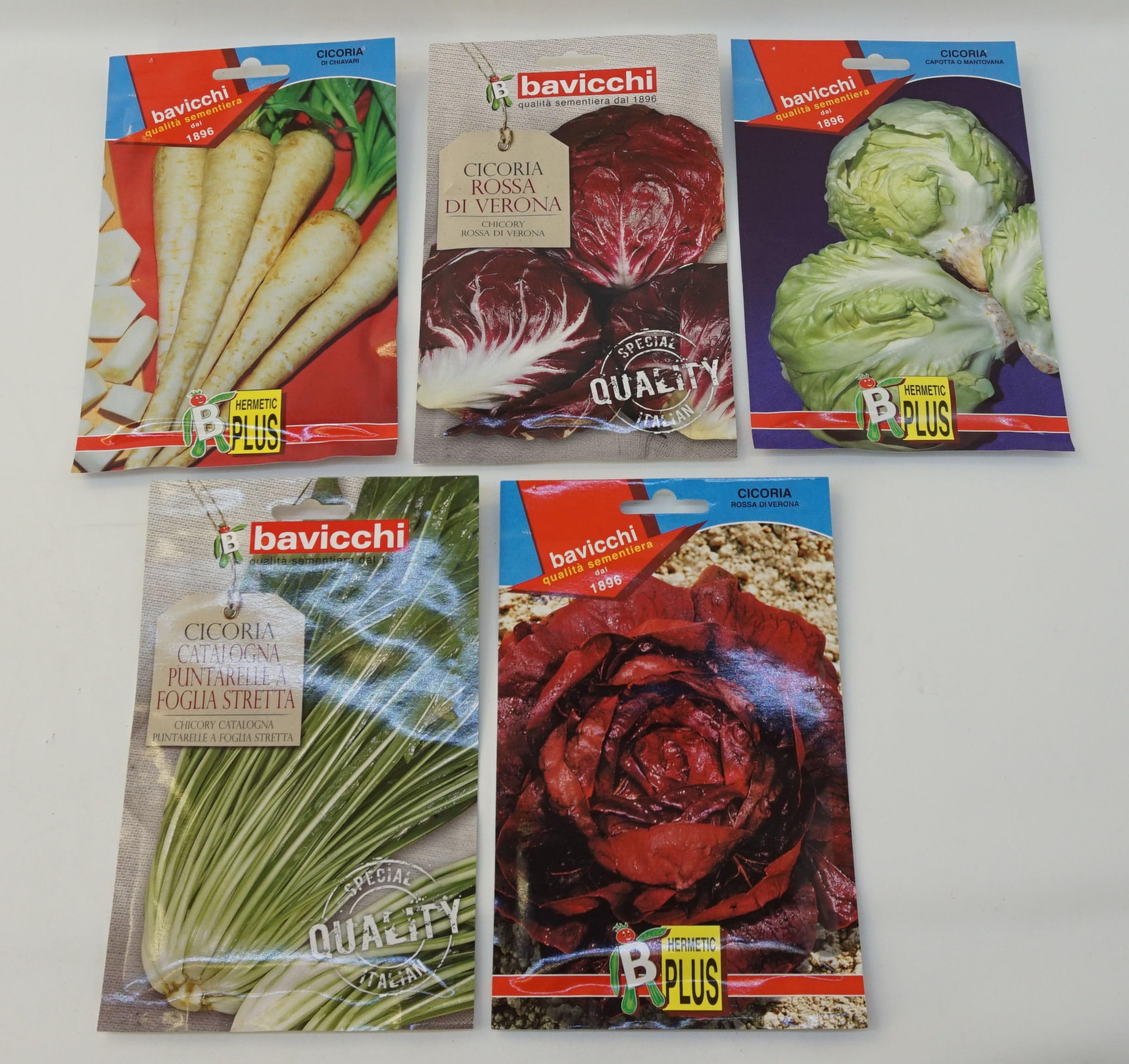 Bavicchi: Chicory Collection - Set of 5 Variety of Italian Seeds [ Italian Import ]