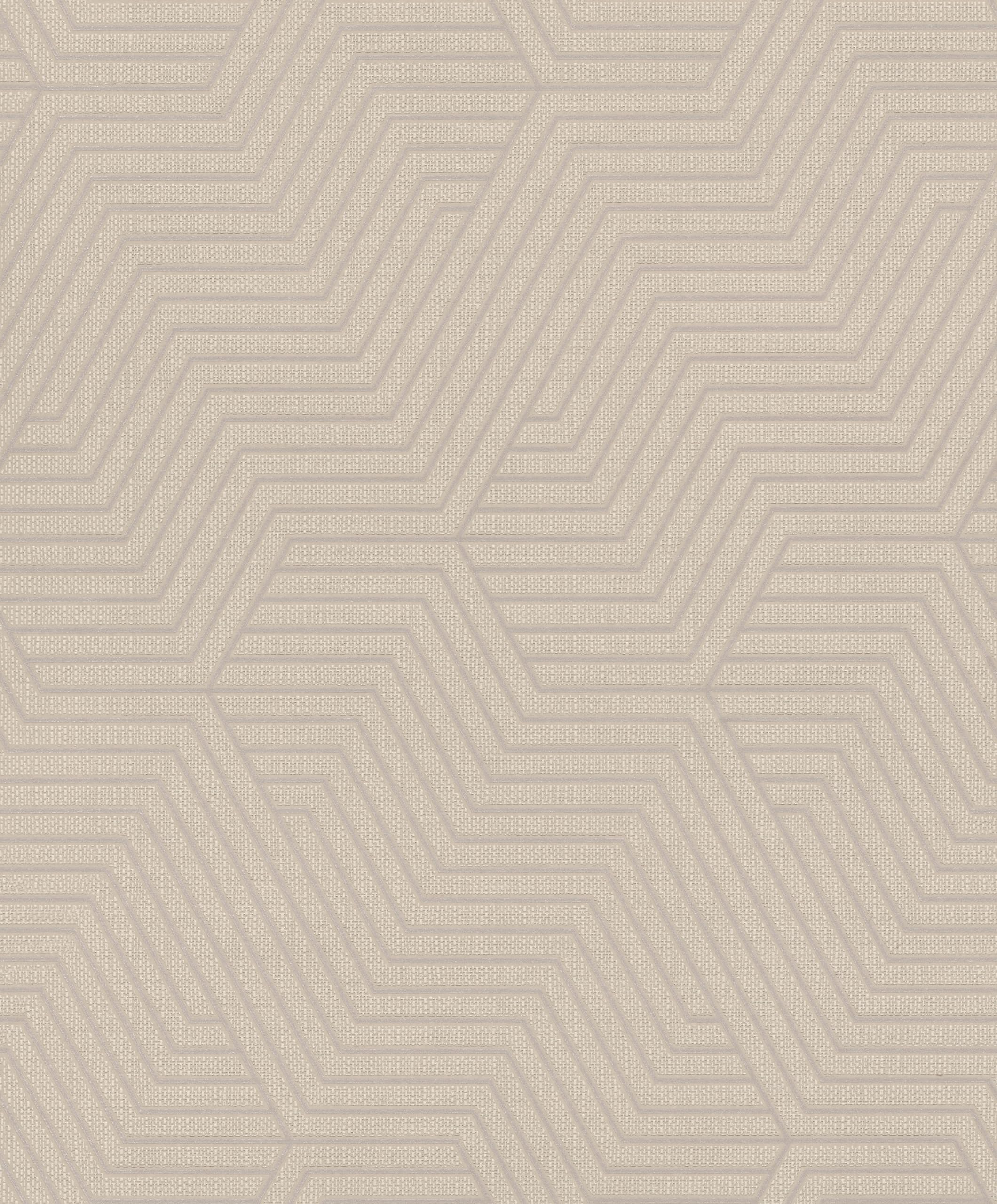 Papier peint intissé géométrique gris clair Rasch 312522 lignes fines